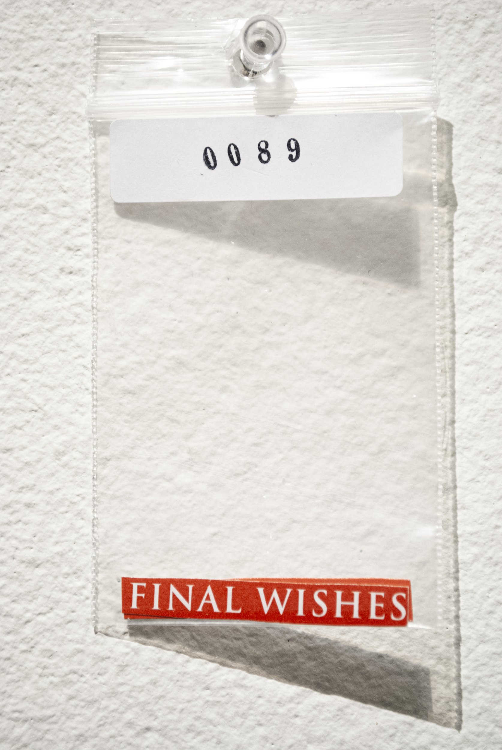 B_0089.jpg