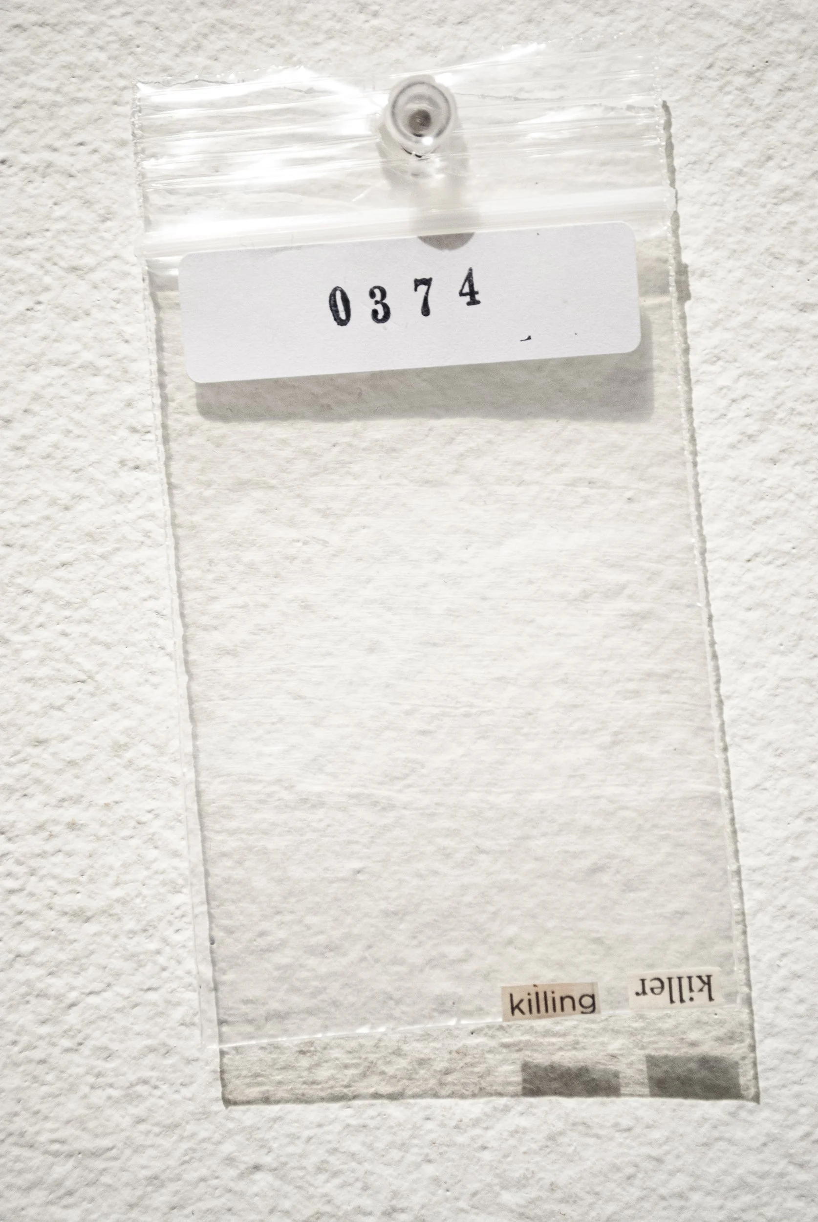 B_0374.jpg