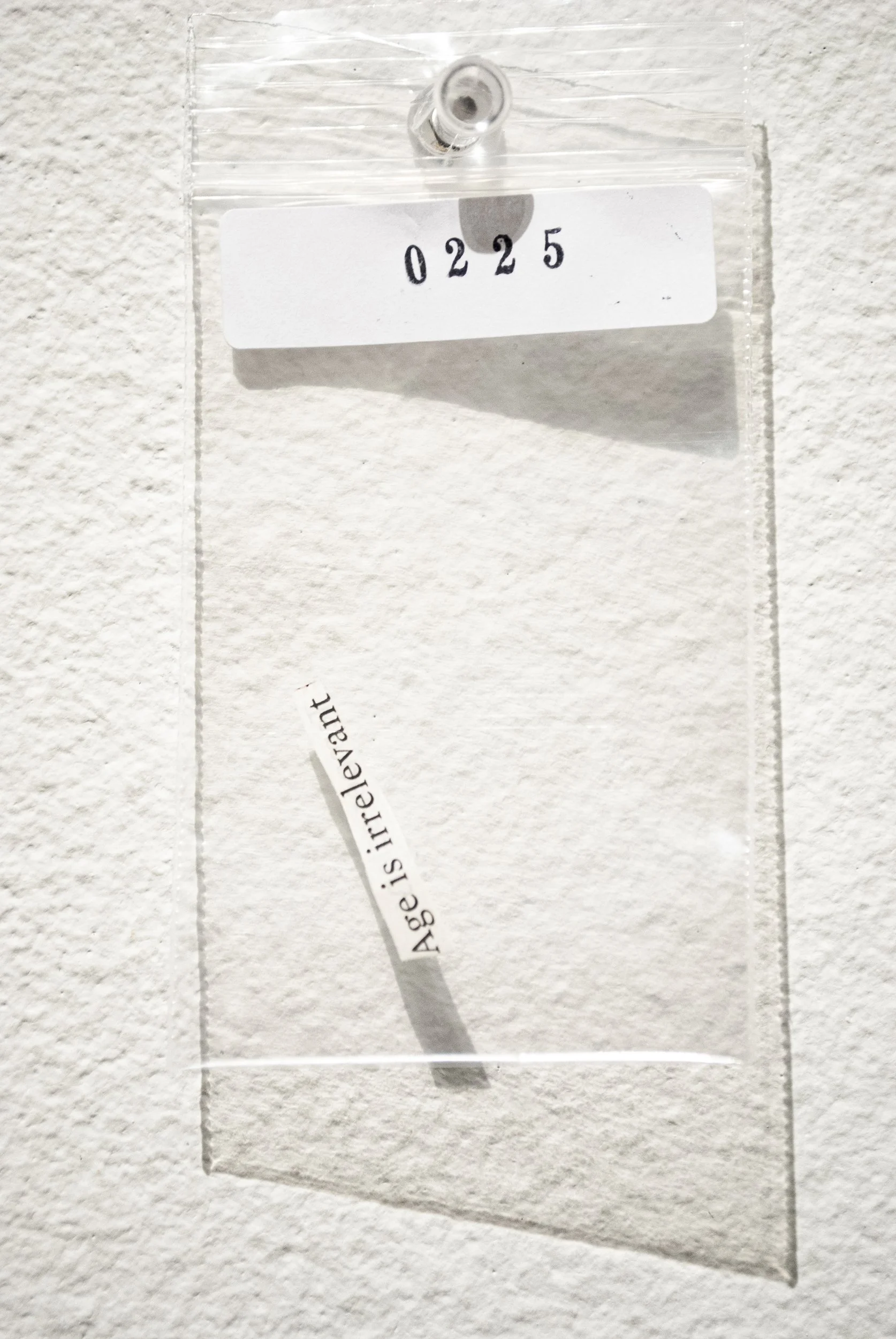 B_0225.jpg