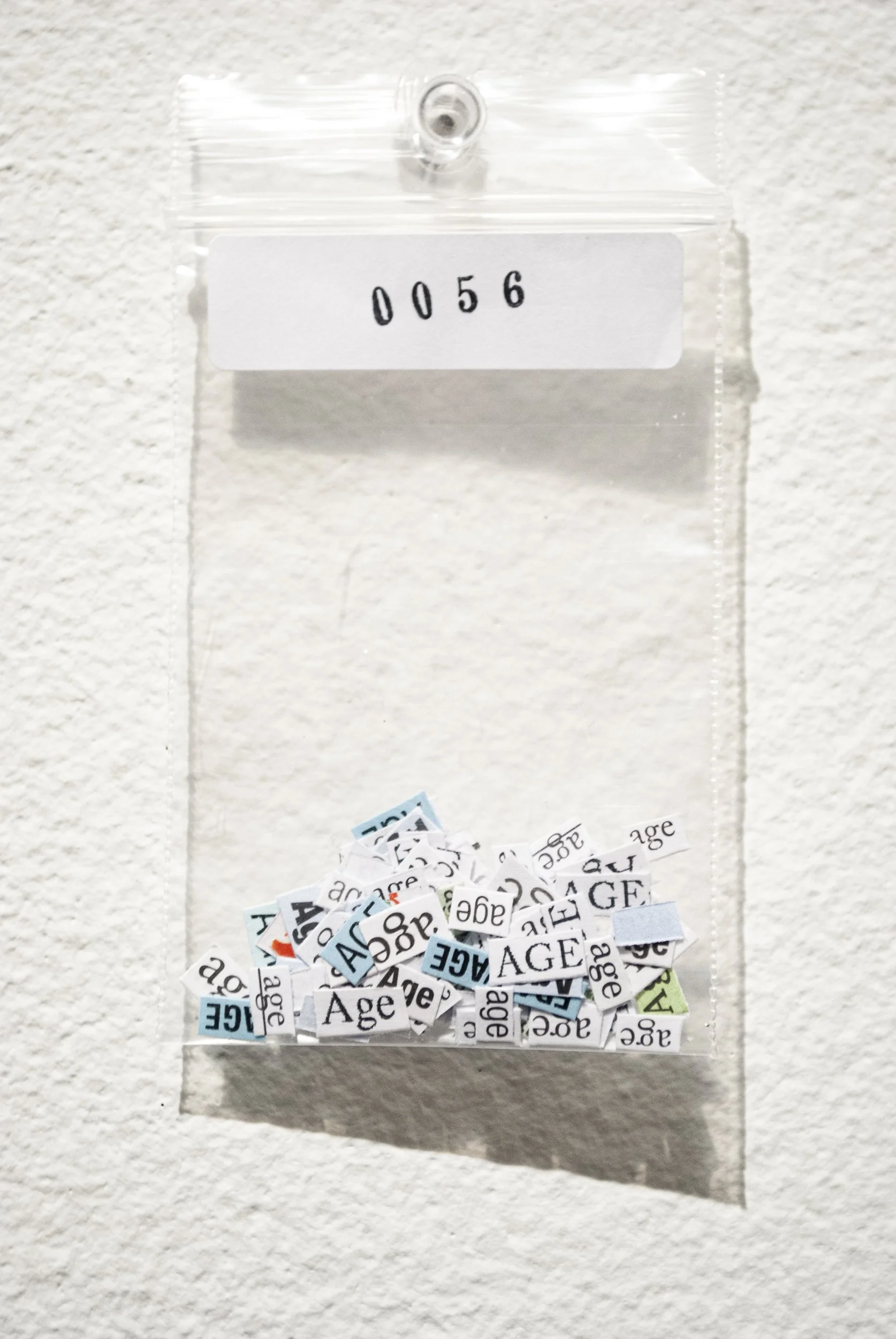 B_0056.jpg