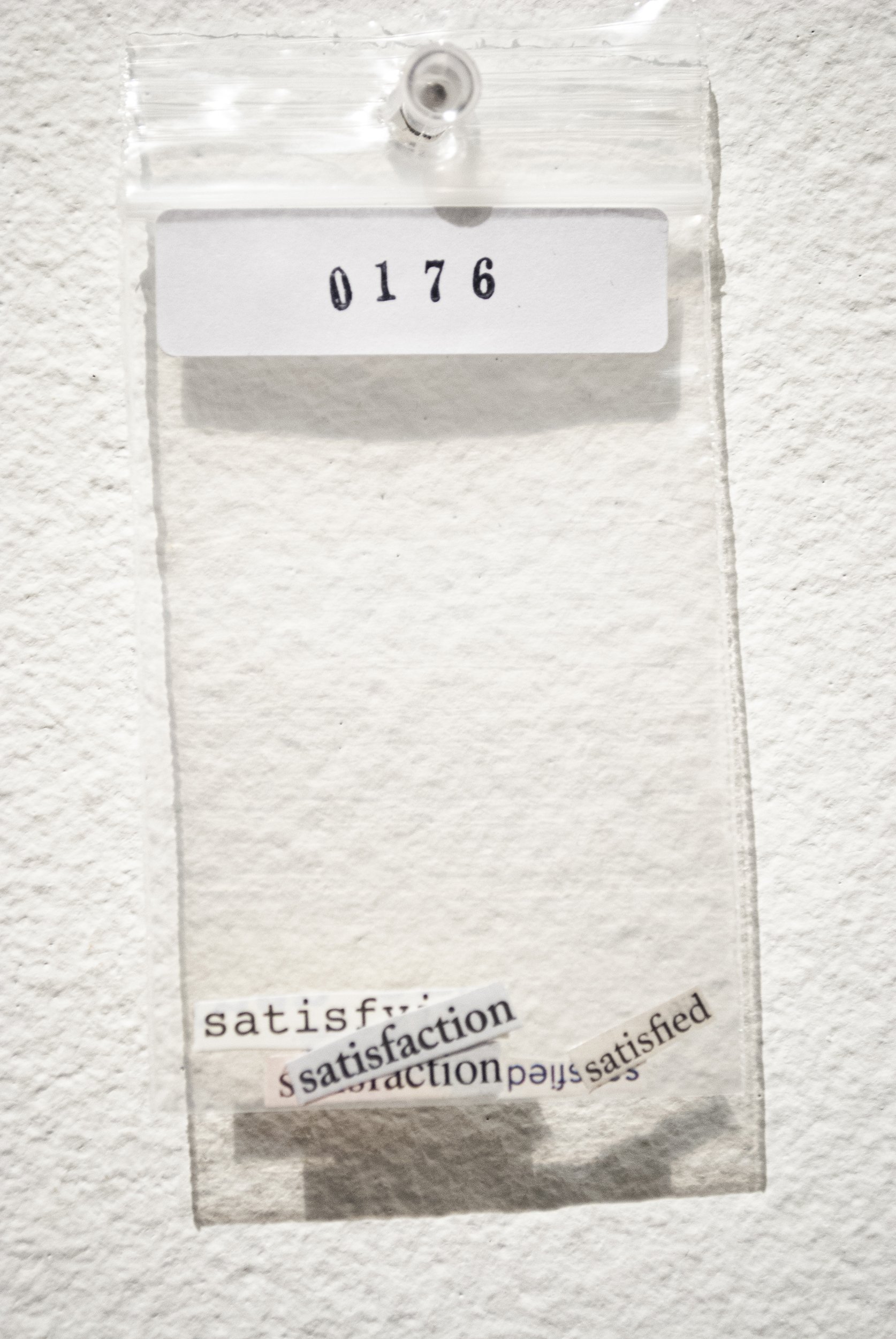 B_0176.jpg