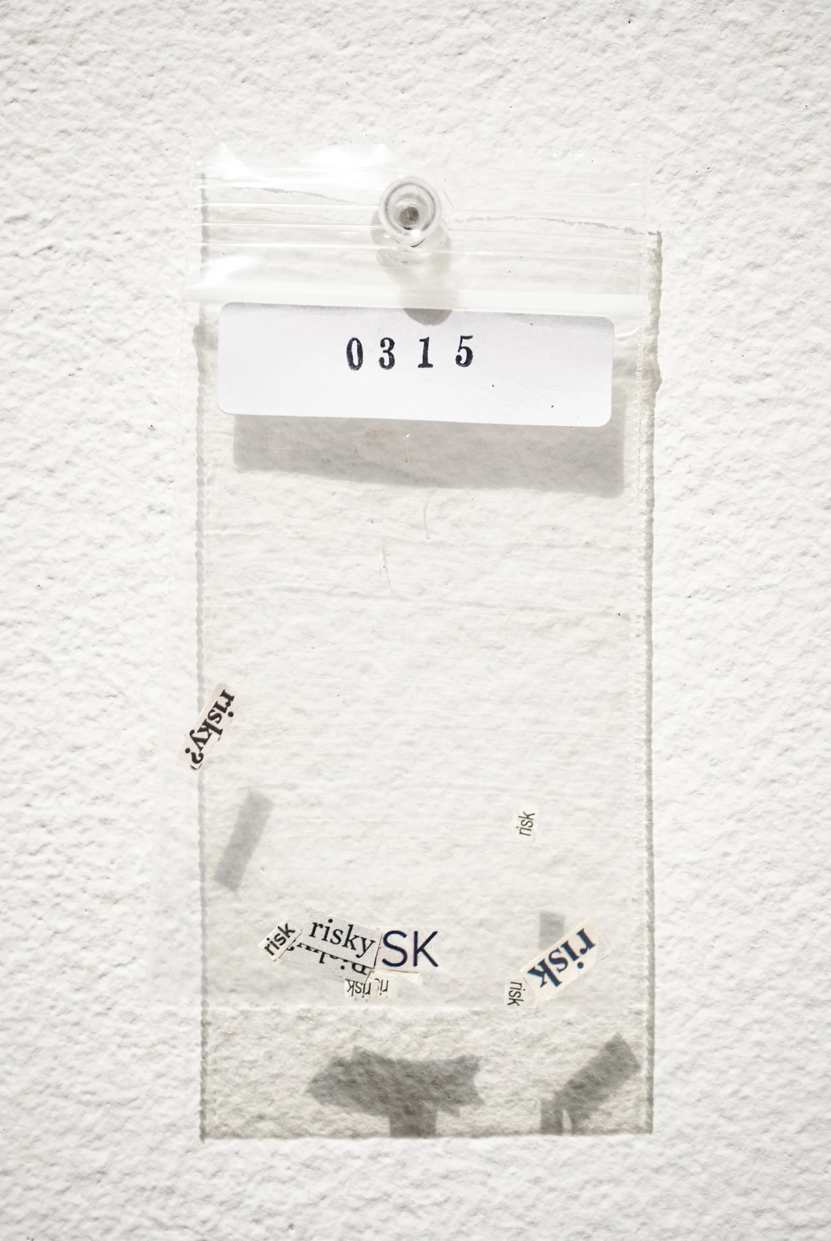 B_0315.jpg