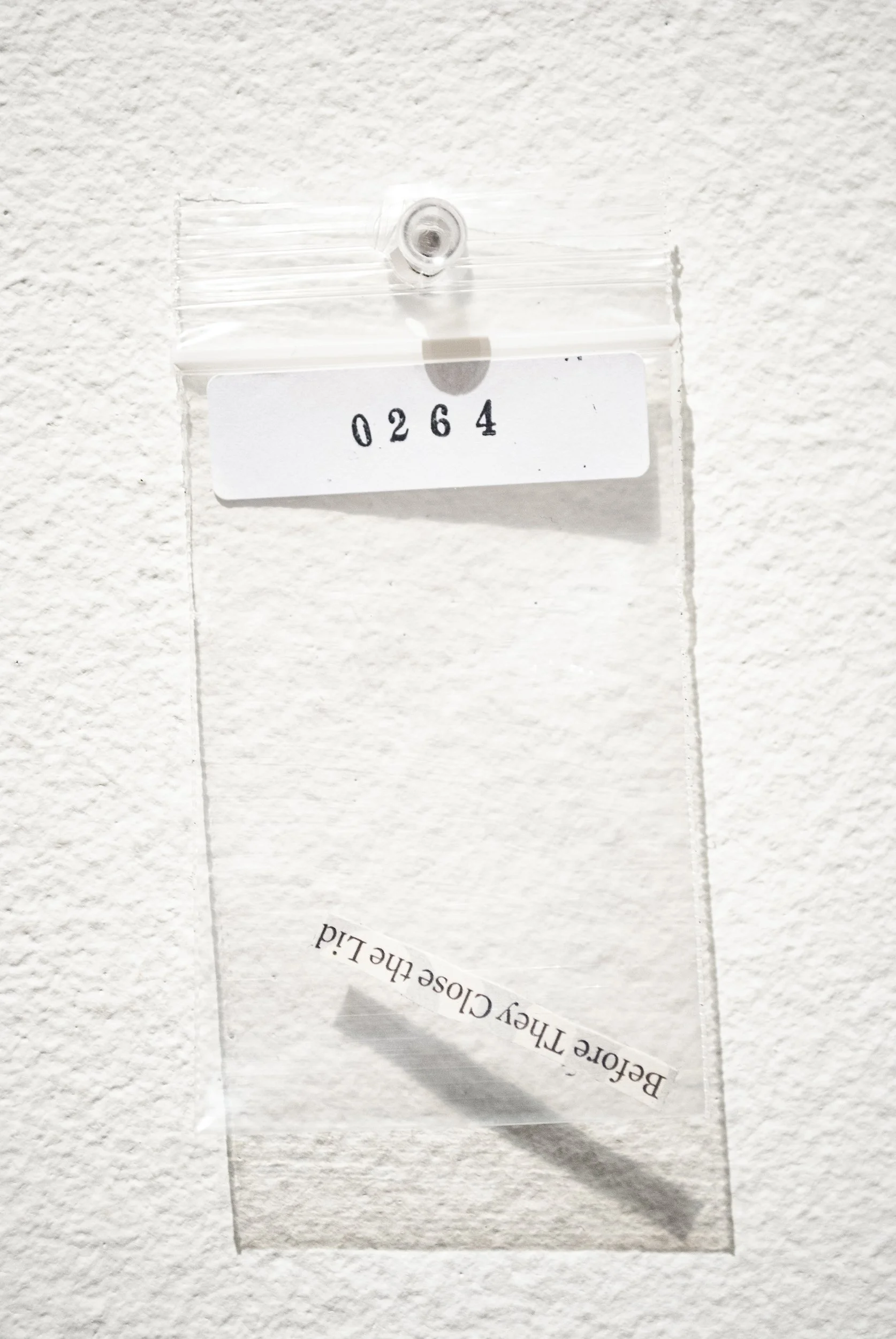 B_0264.jpg
