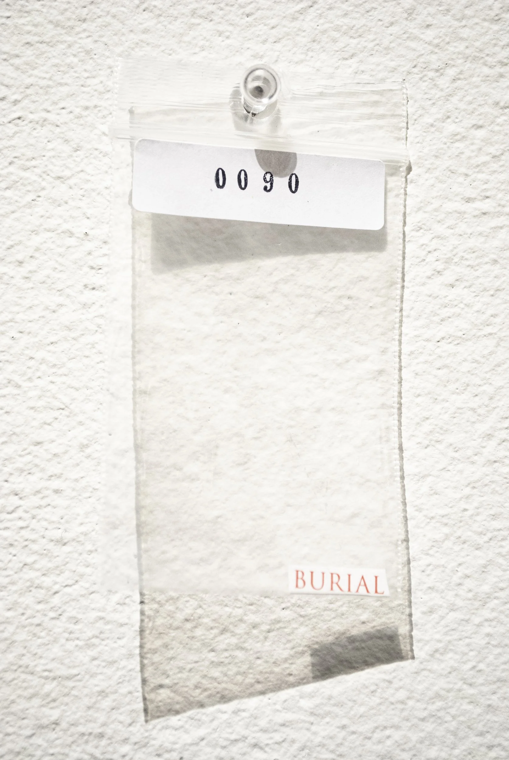 B_0090.jpg