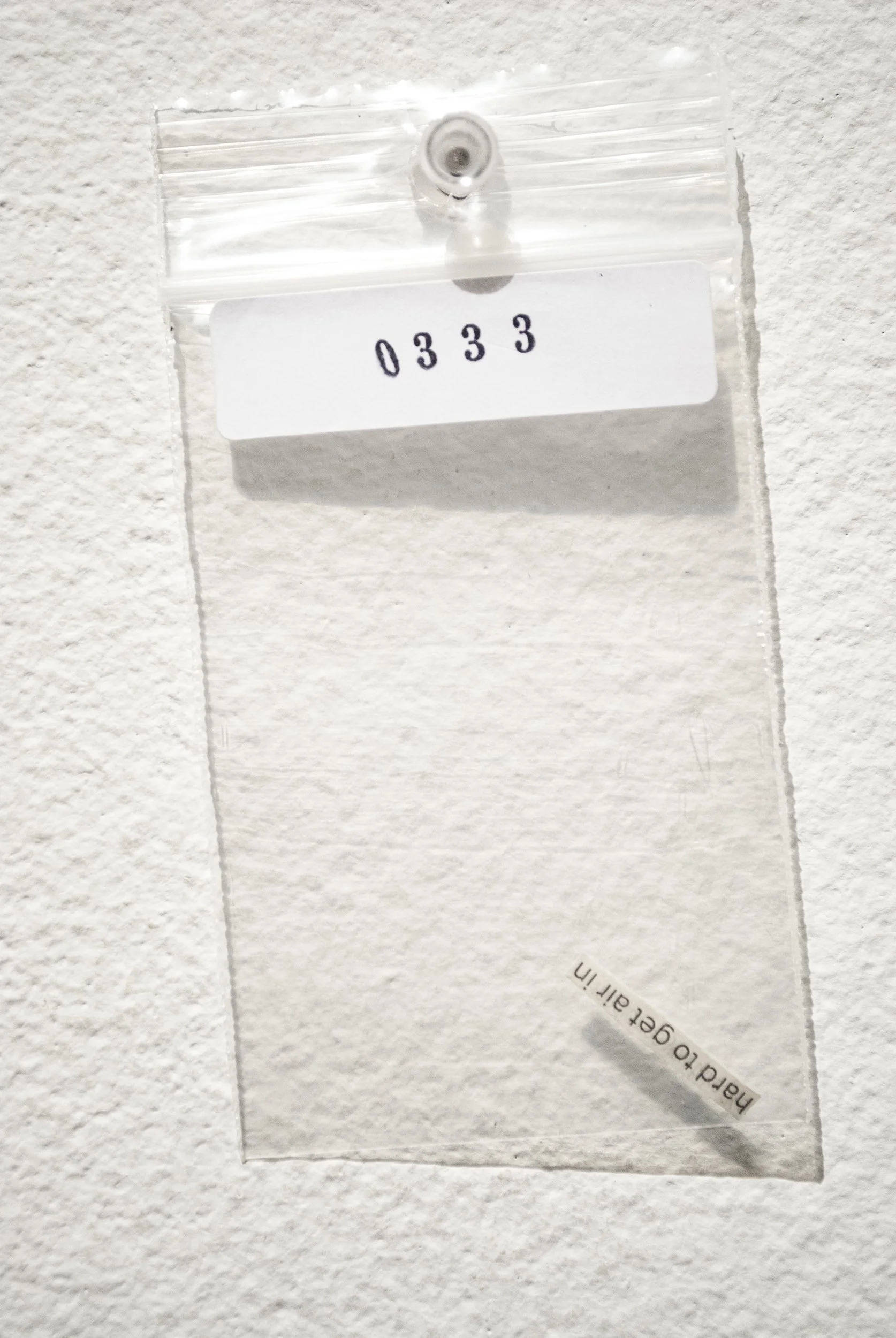 B_0333.jpg