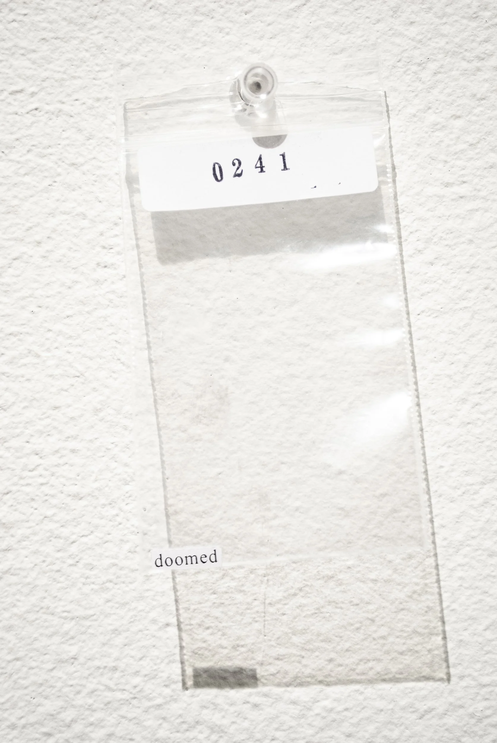 B_0241.jpg