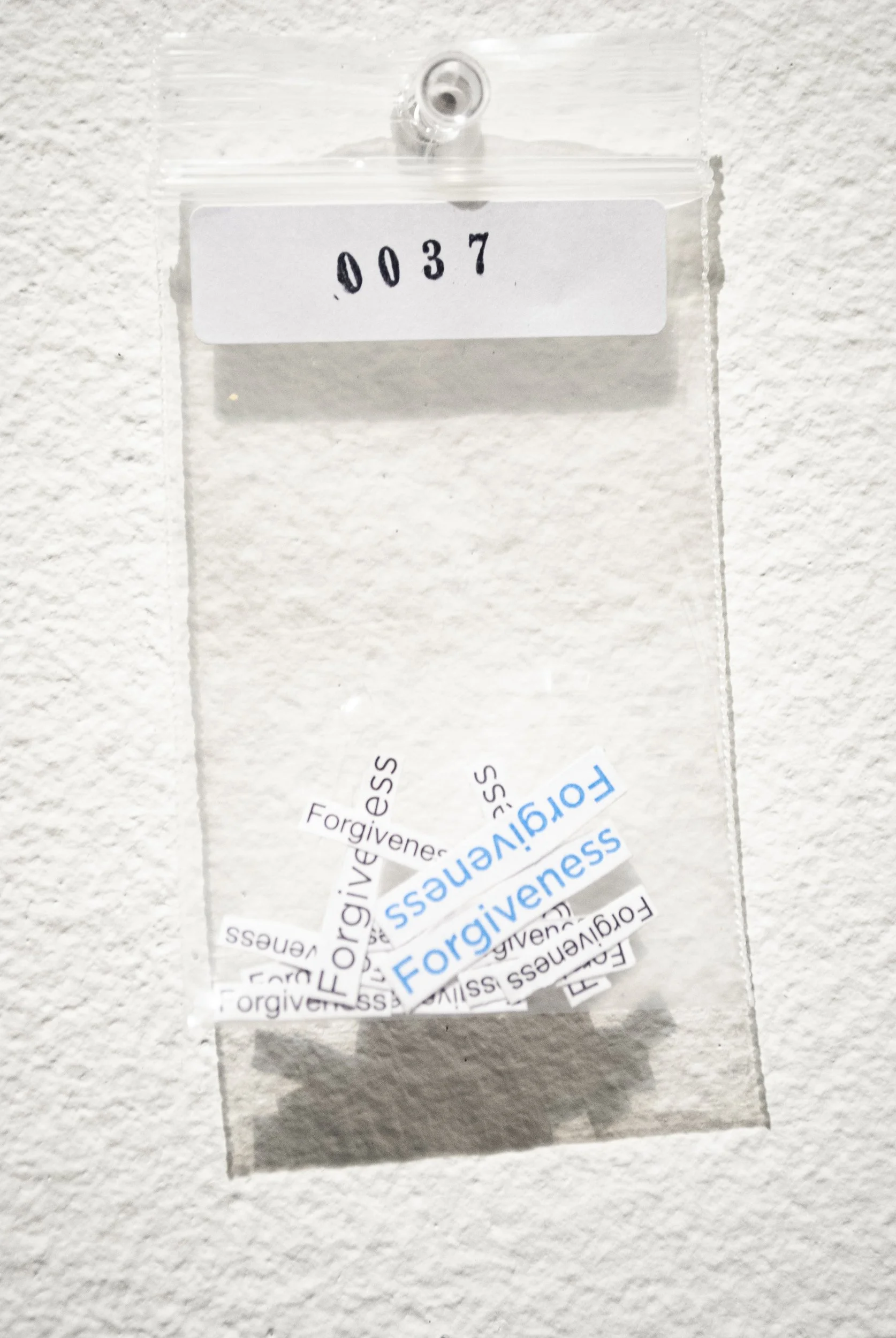 B_0037.jpg