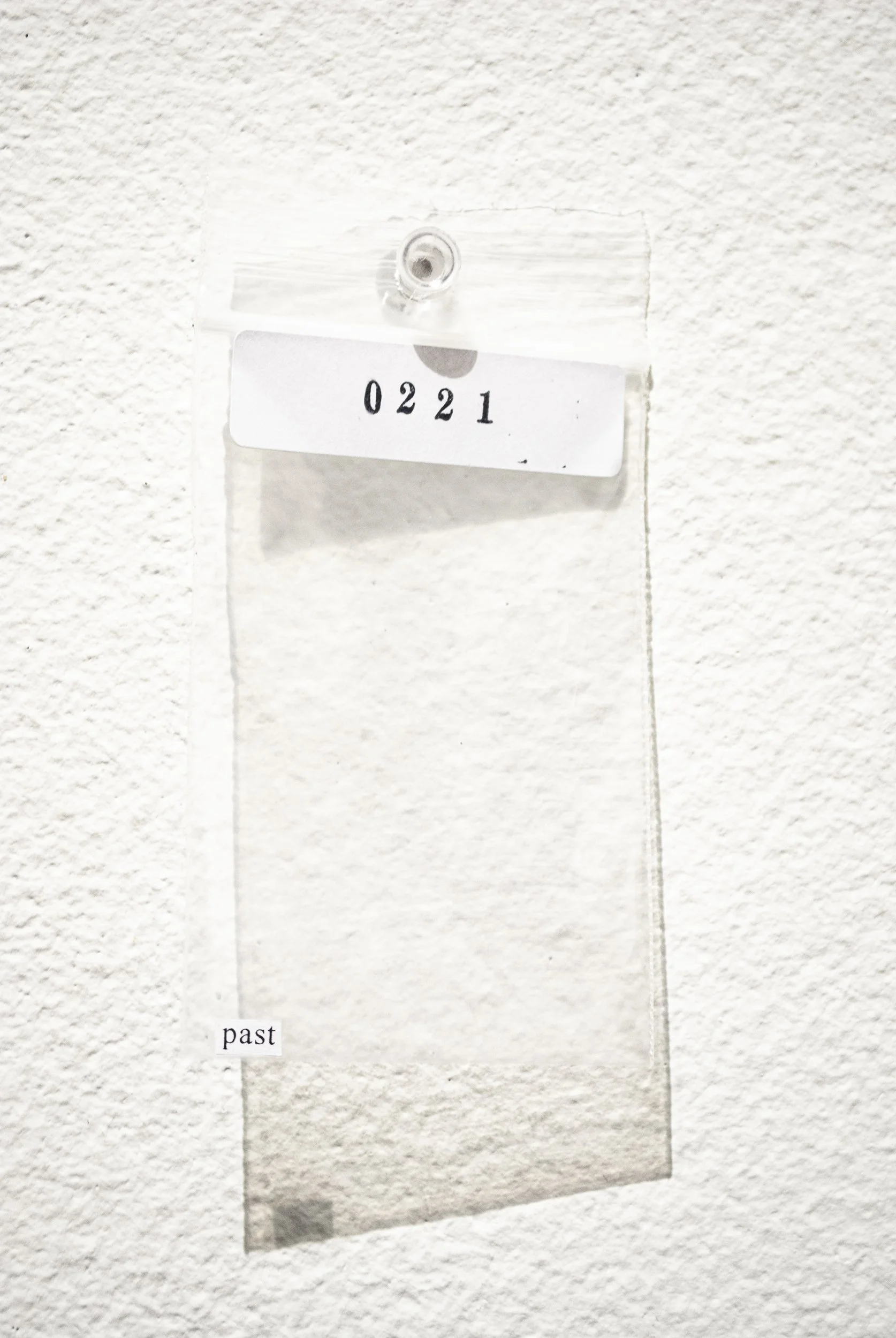 B_0221.jpg