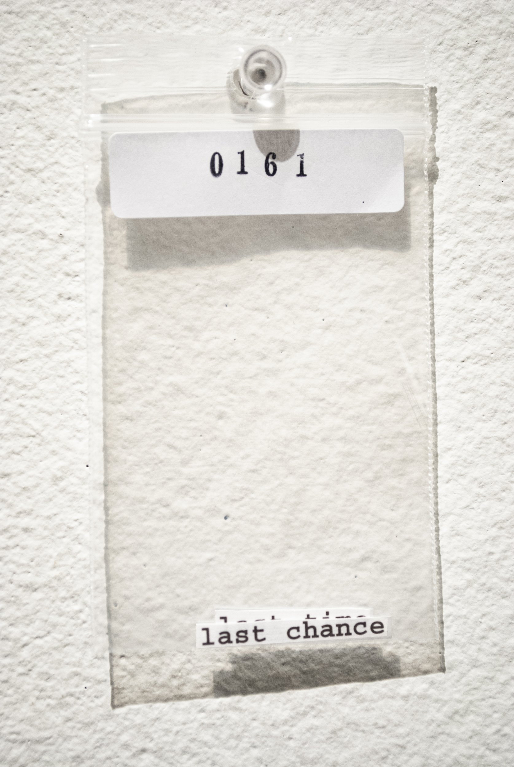 B_0161.jpg