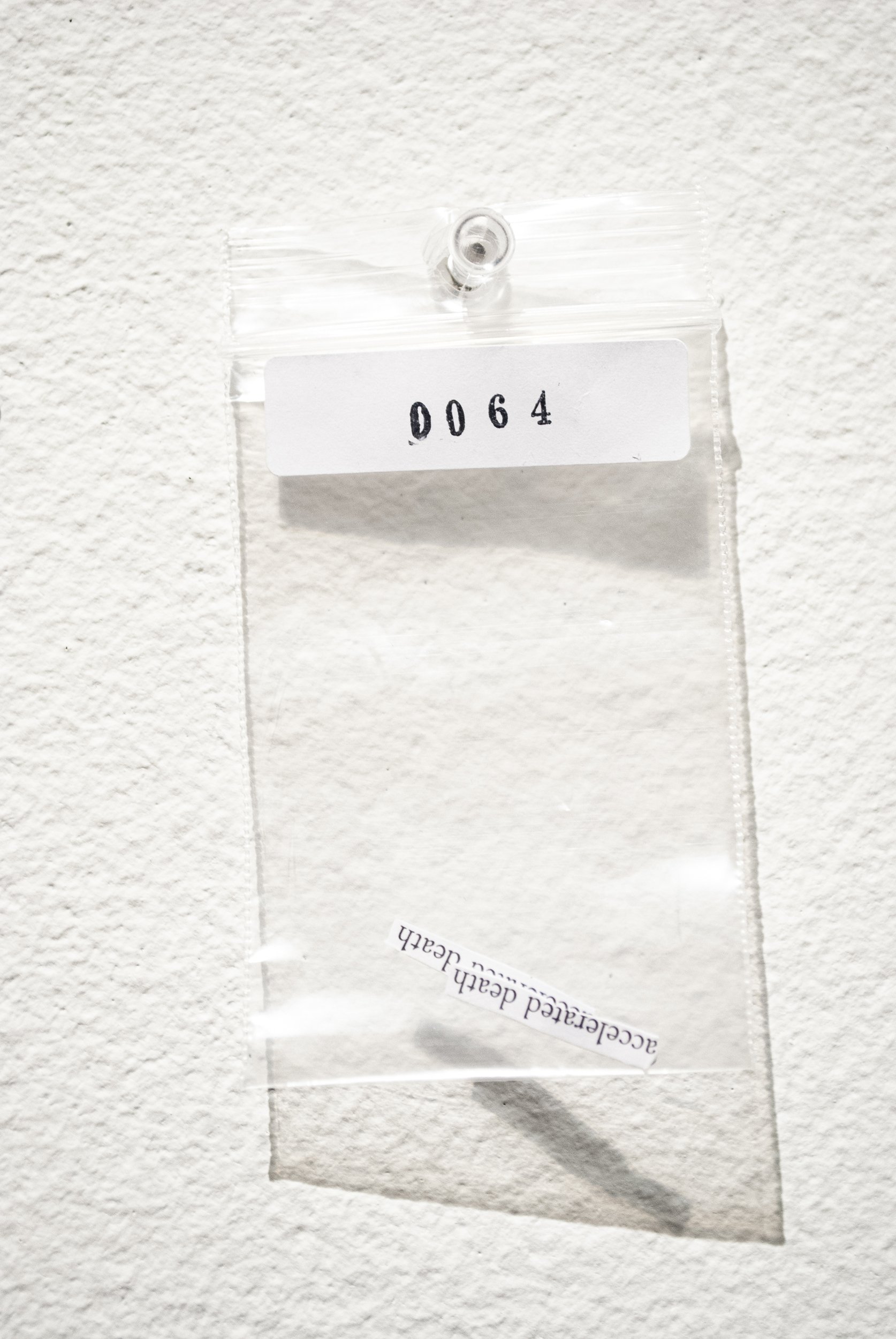 B_0064.jpg