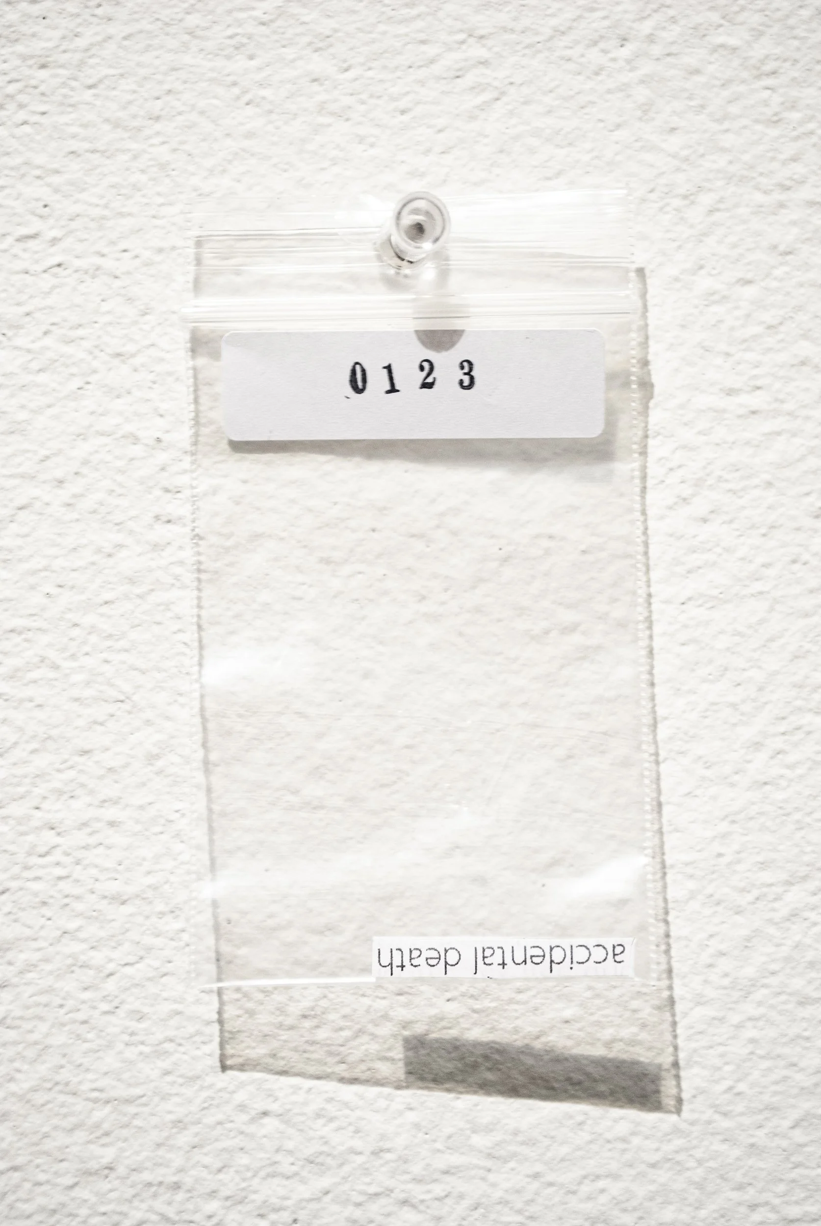 B_0123.jpg