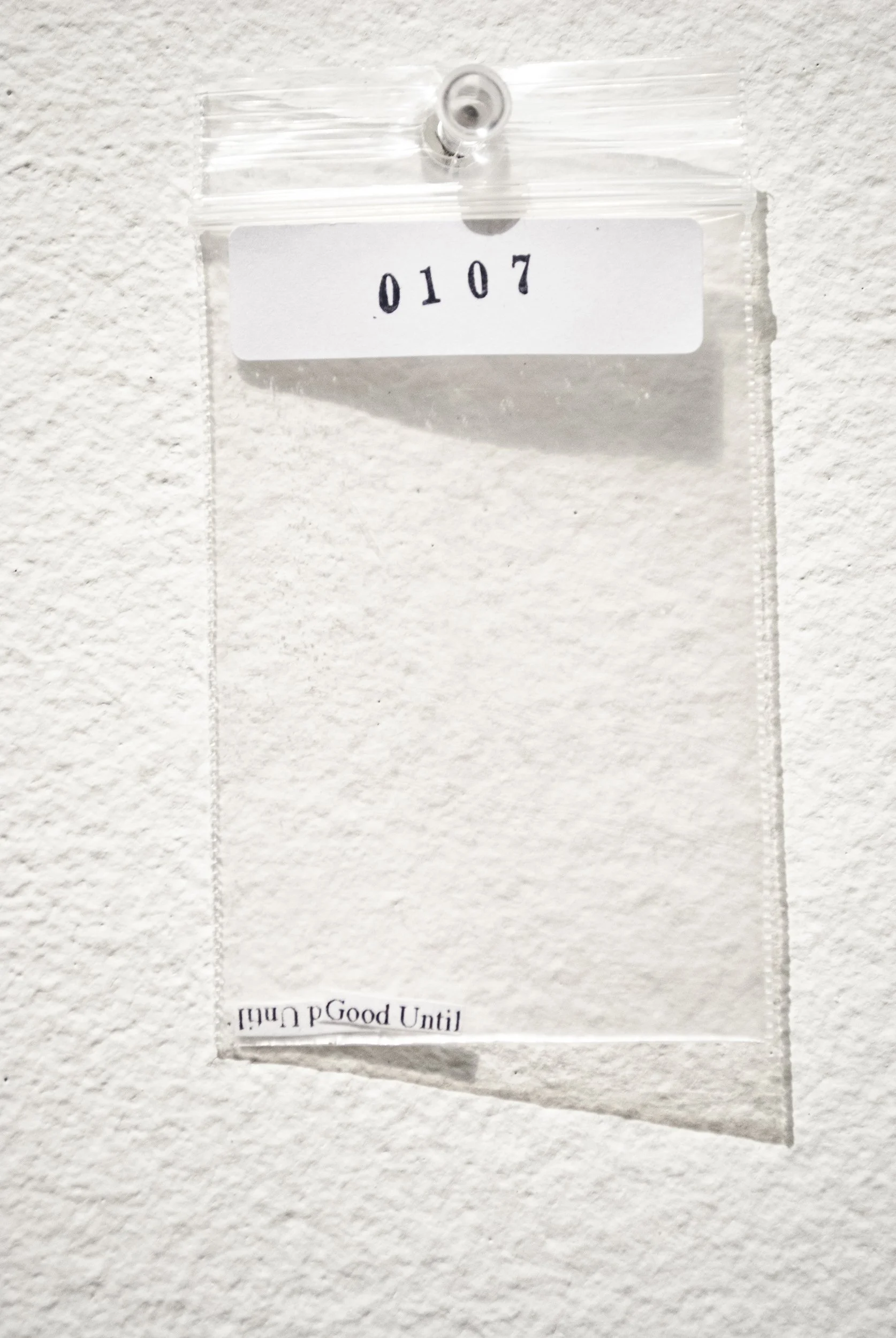 B_0107.jpg