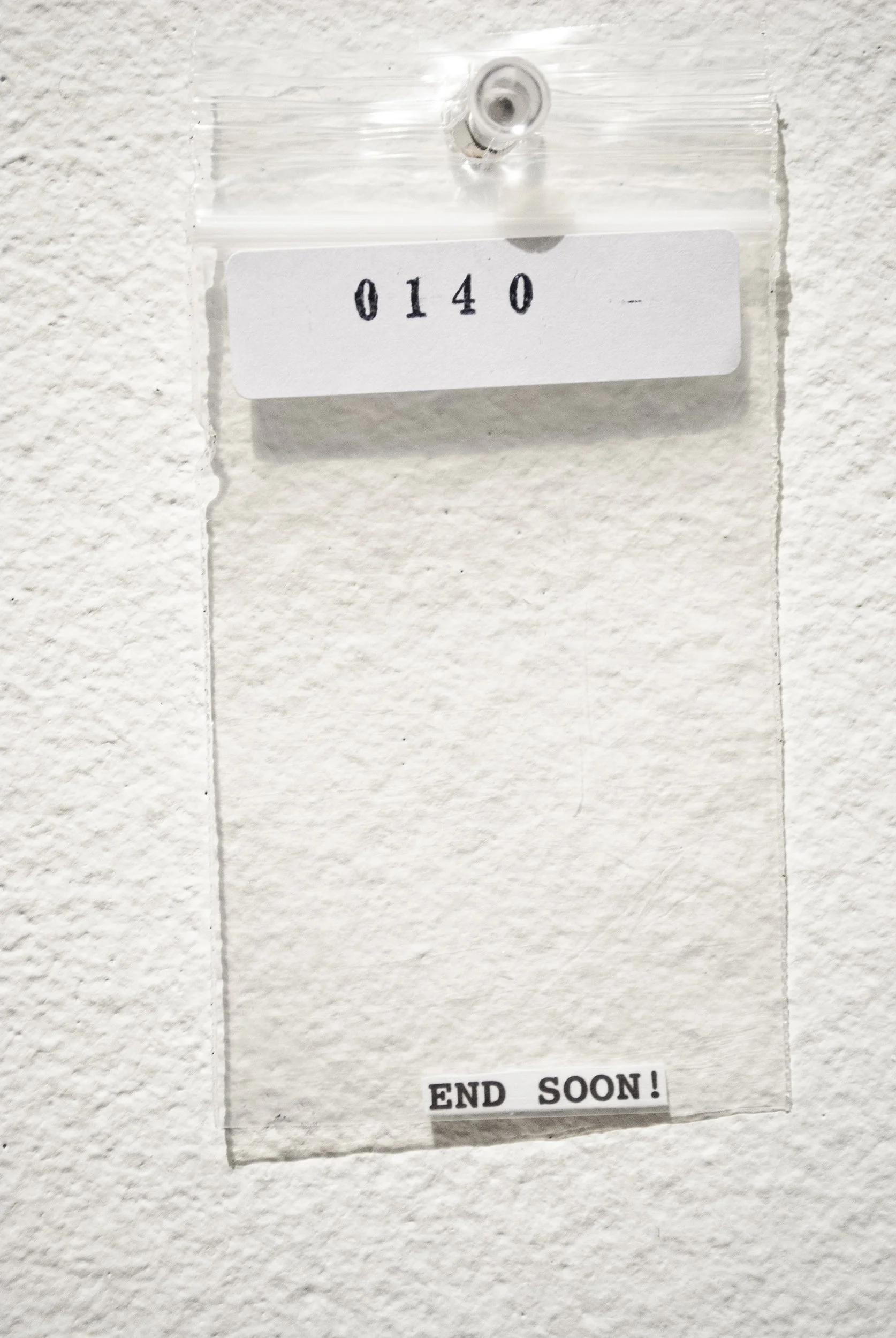 B_0140.jpg
