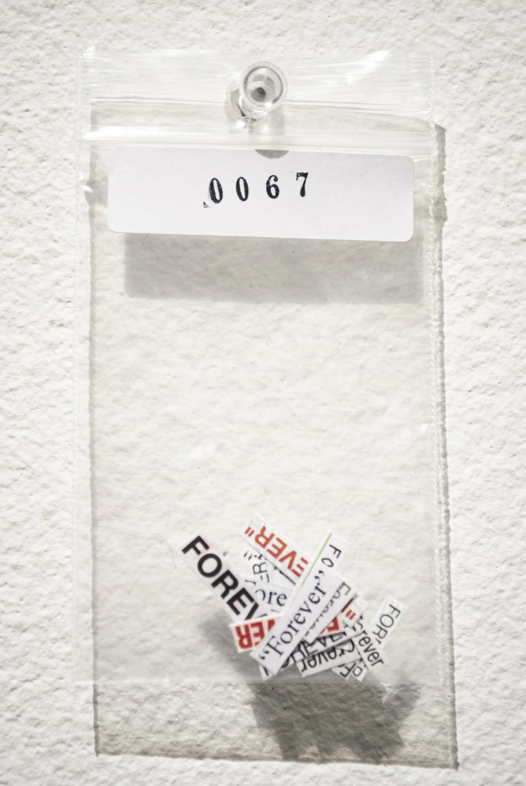 B_0067.jpg