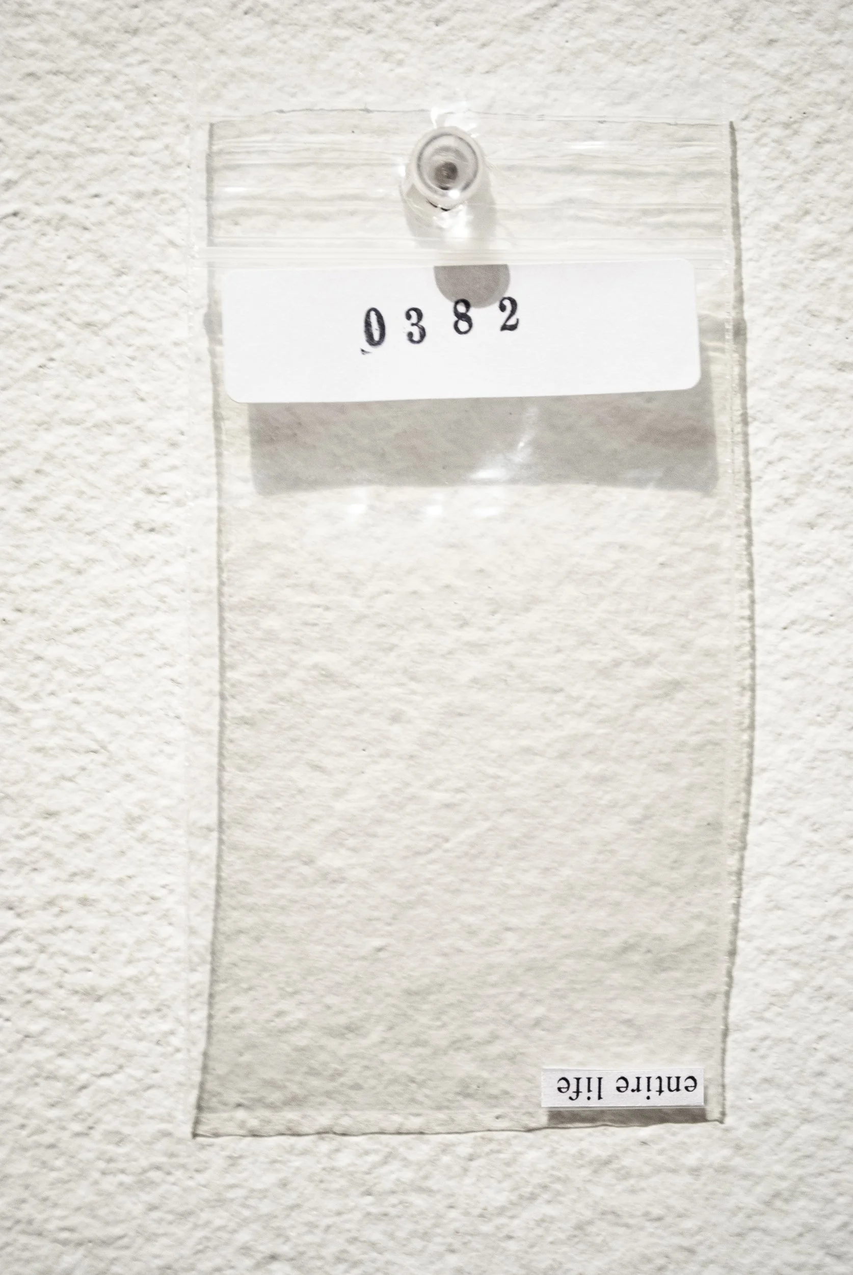 B_0382.jpg