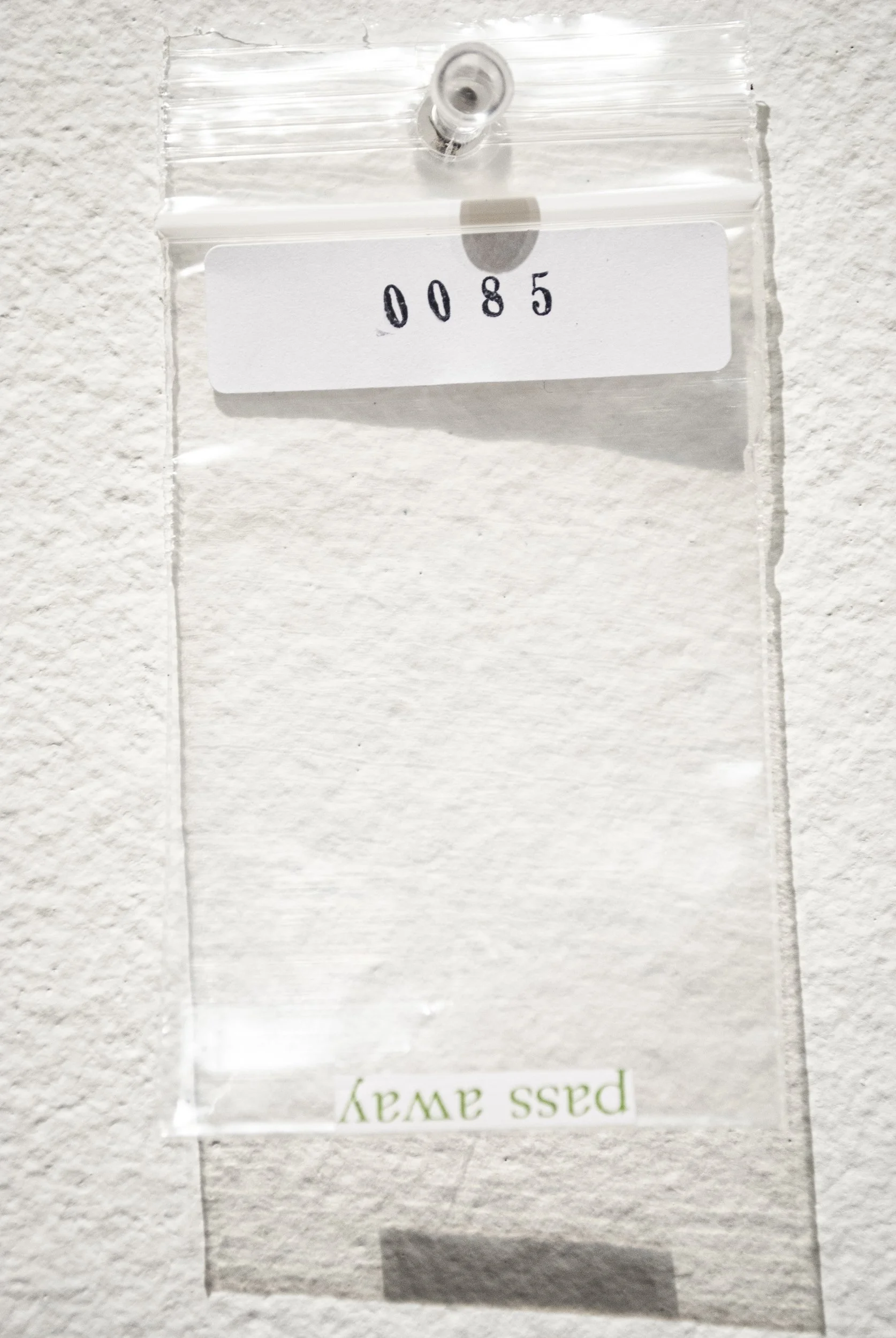 B_0085.jpg