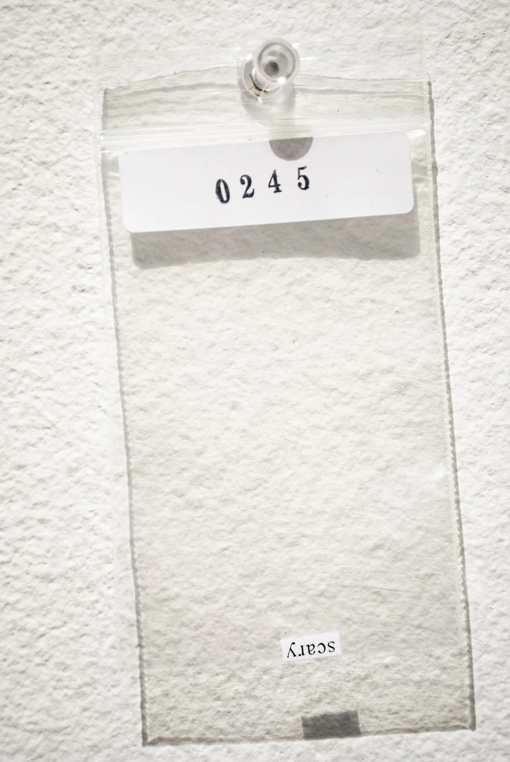 B_0245.jpg