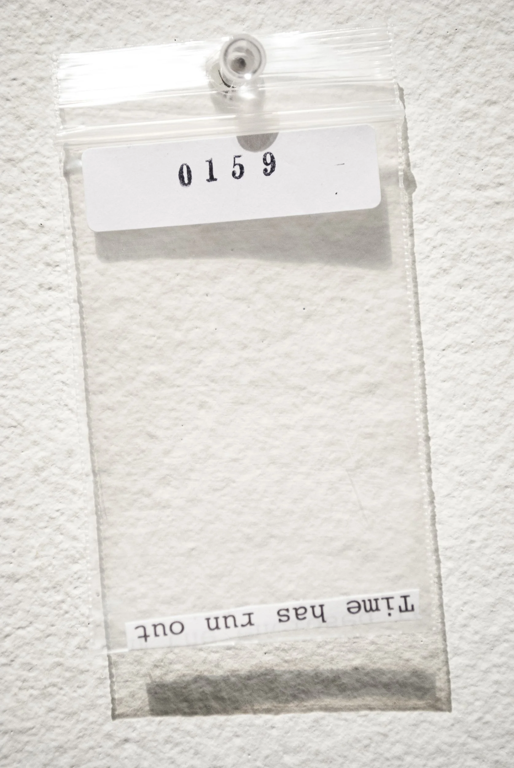 B_0159.jpg