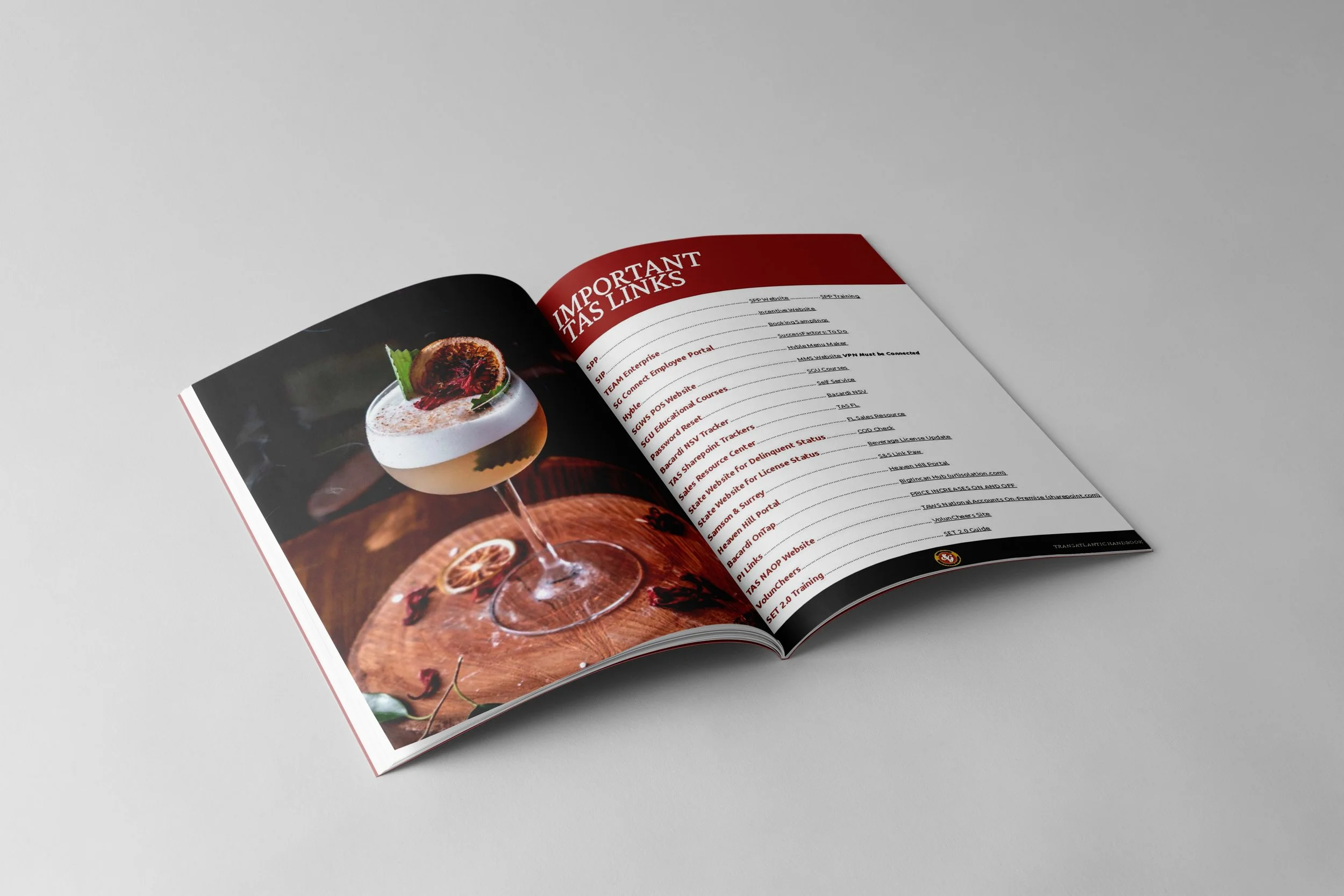 important links for SGWS transatlantic book