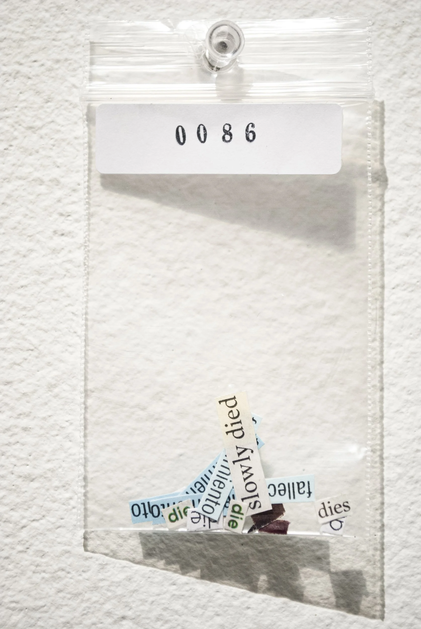 B_0086.jpg