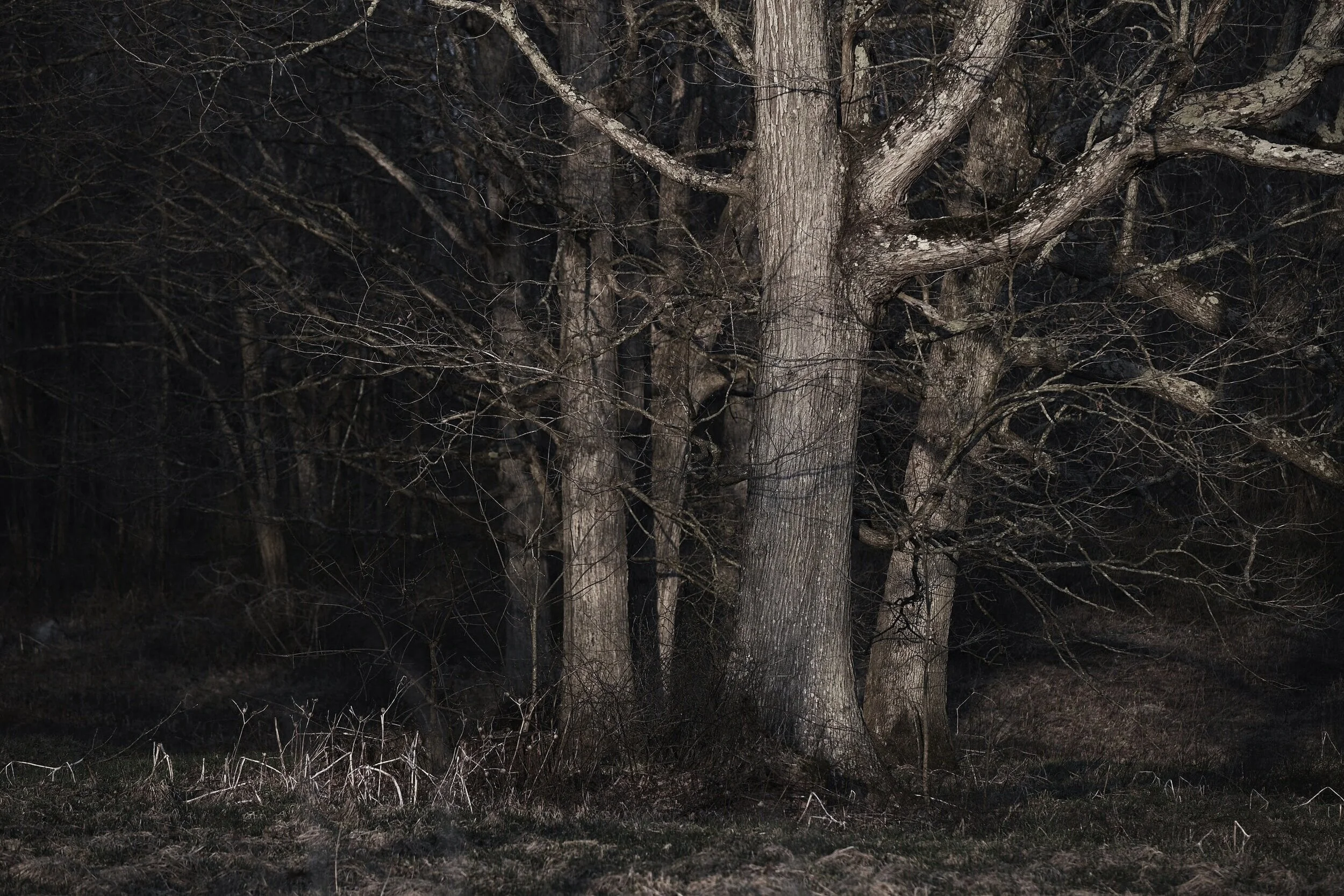 Episode 37 - The Story of Raymond Byrd and the Last Lynching in Virginia