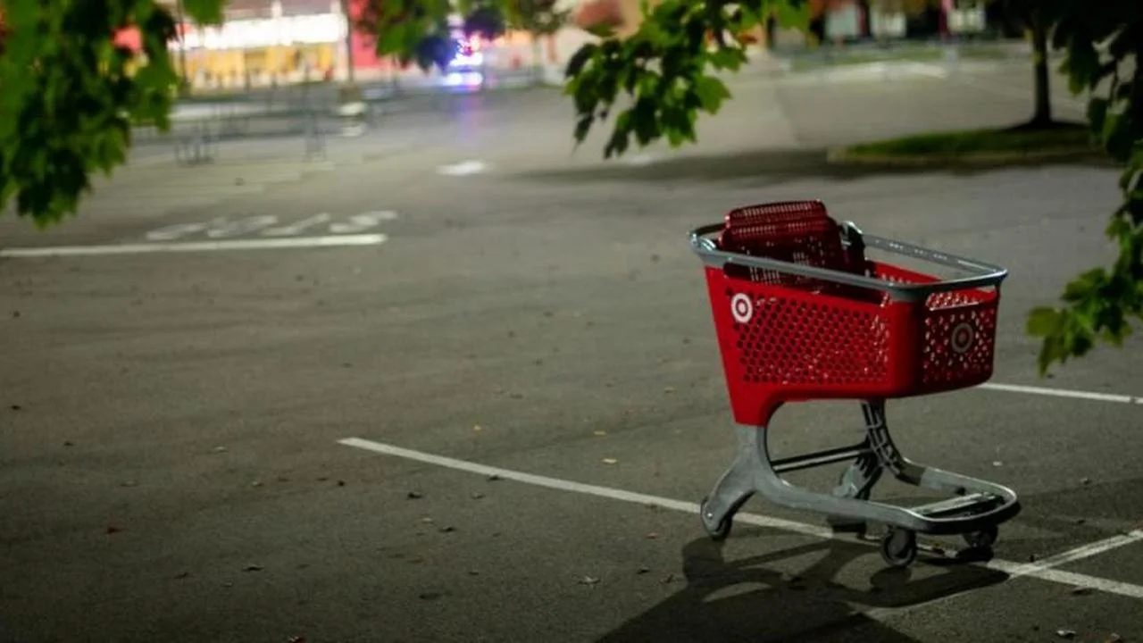 BONUS MINISODE - The Shopping Cart Killer