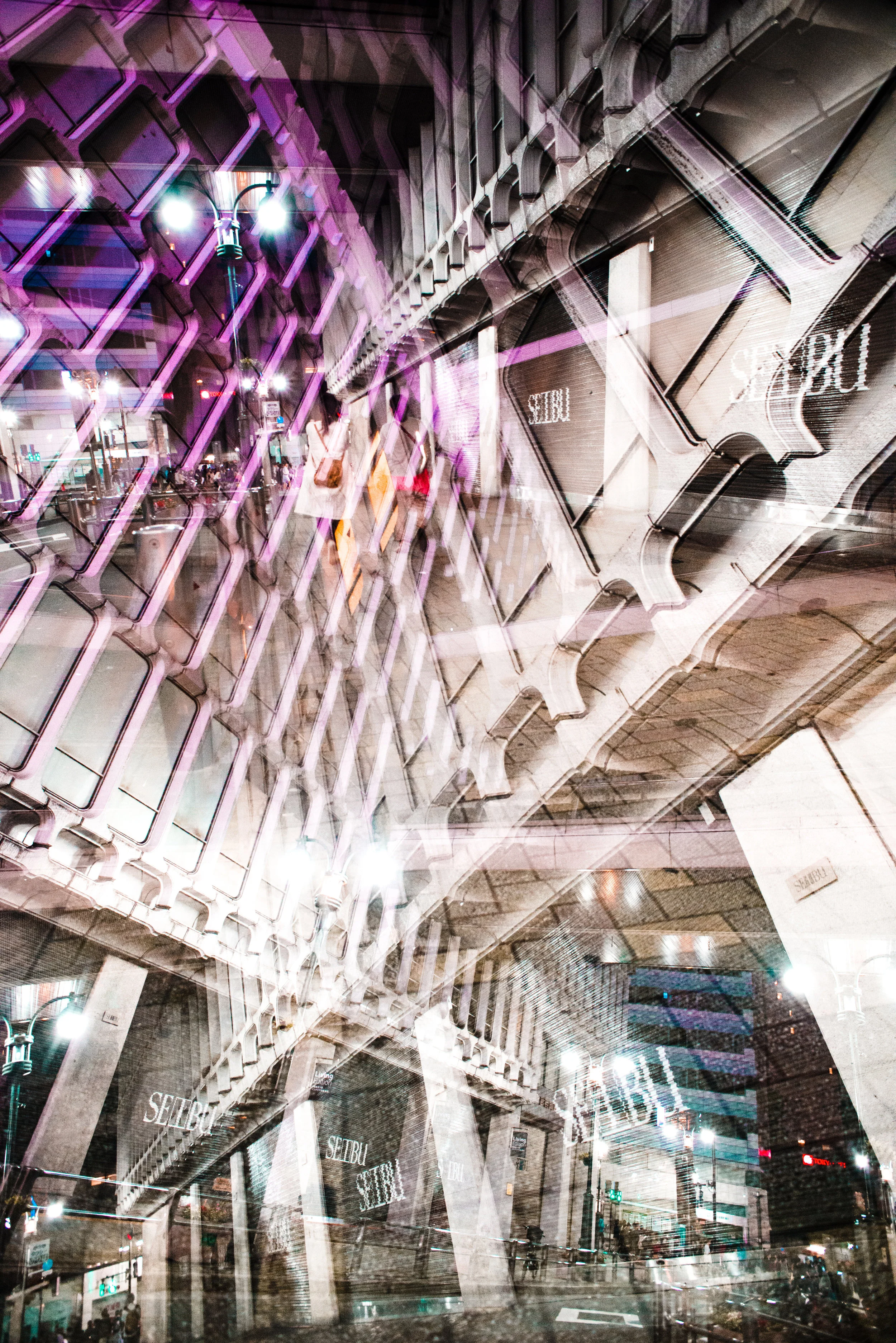 Beast (12 of 14) resize.jpg