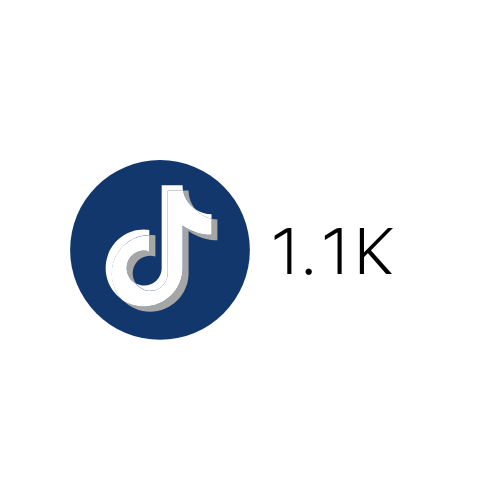 TikTokS - 1.1K.png