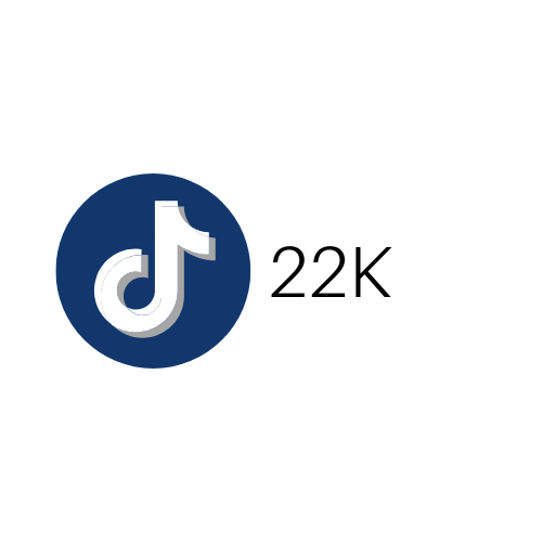 TikTokS - 22K.png