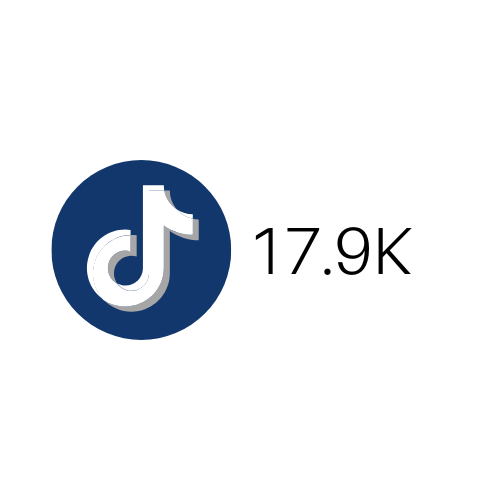 TikTokS - 17.9K.png