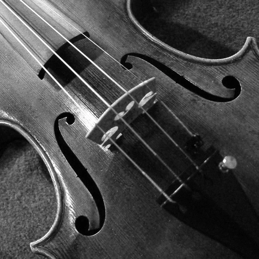violin-image.jpg