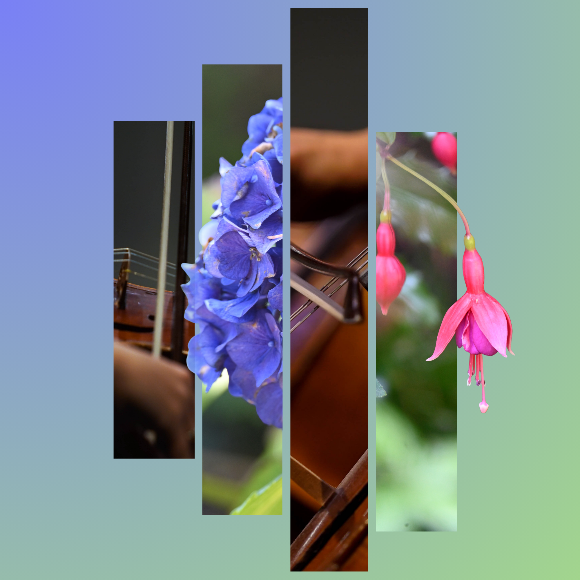 Strings in the Garden