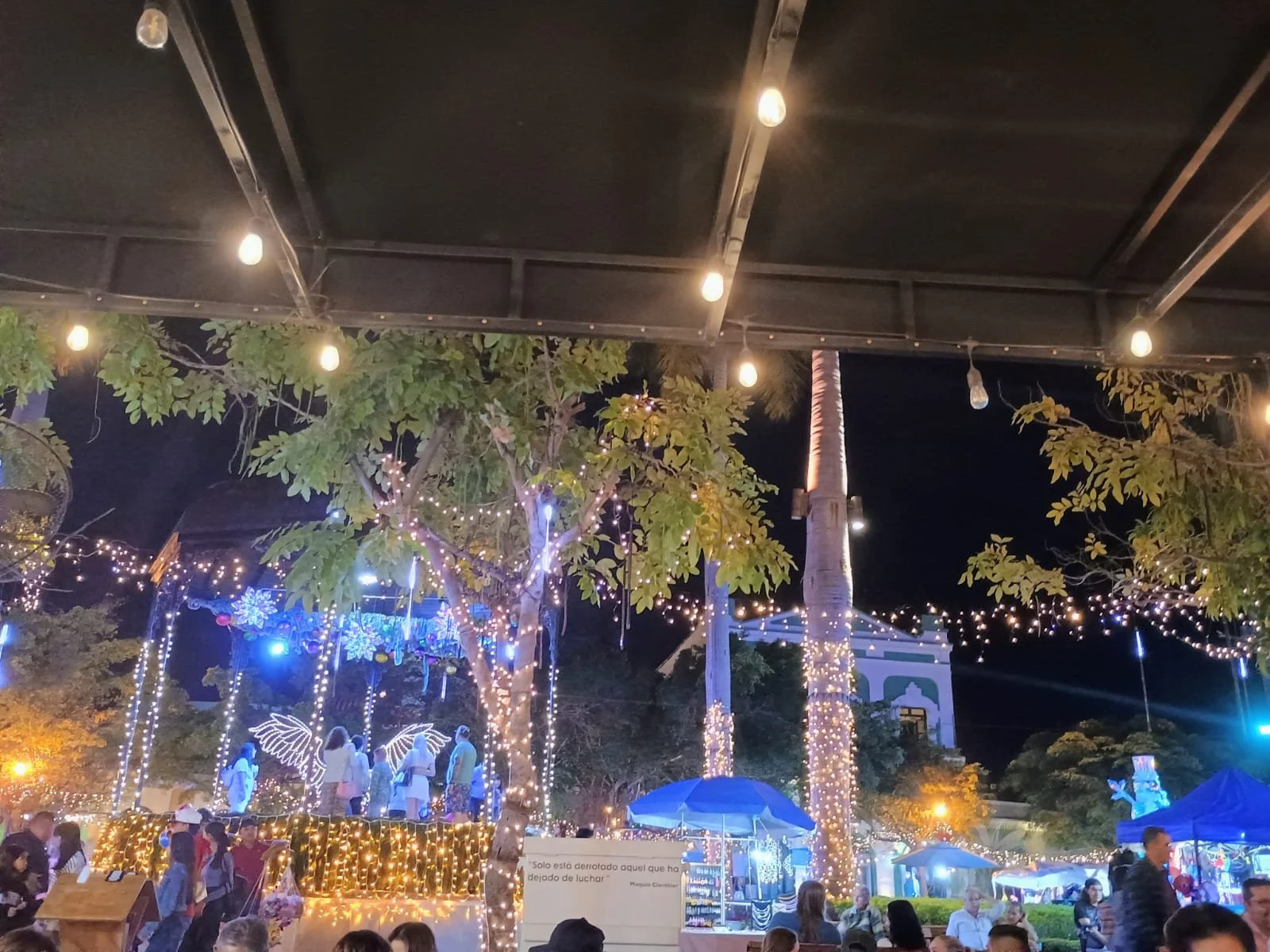 WhatsApp Image 2025-11-11 at 1.32.59 PM.jpeg