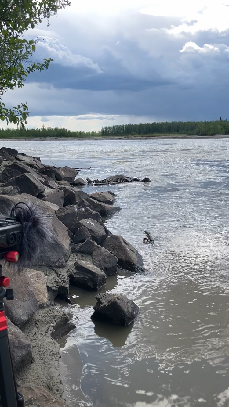 Tanana River