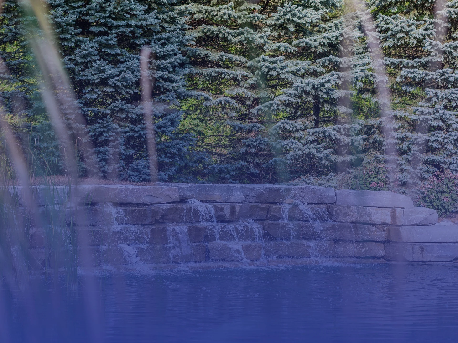 Water Features Banner.jpg