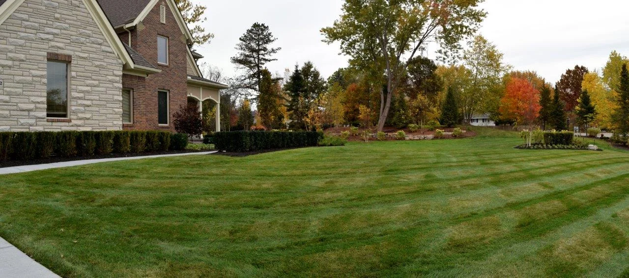 BWD_DSC6748-Pano.jpg