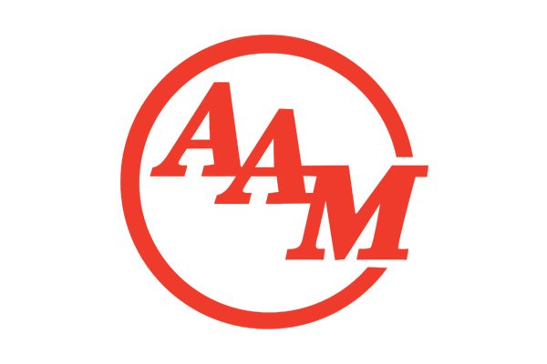 AAM - snow plowing company in SE Michigan