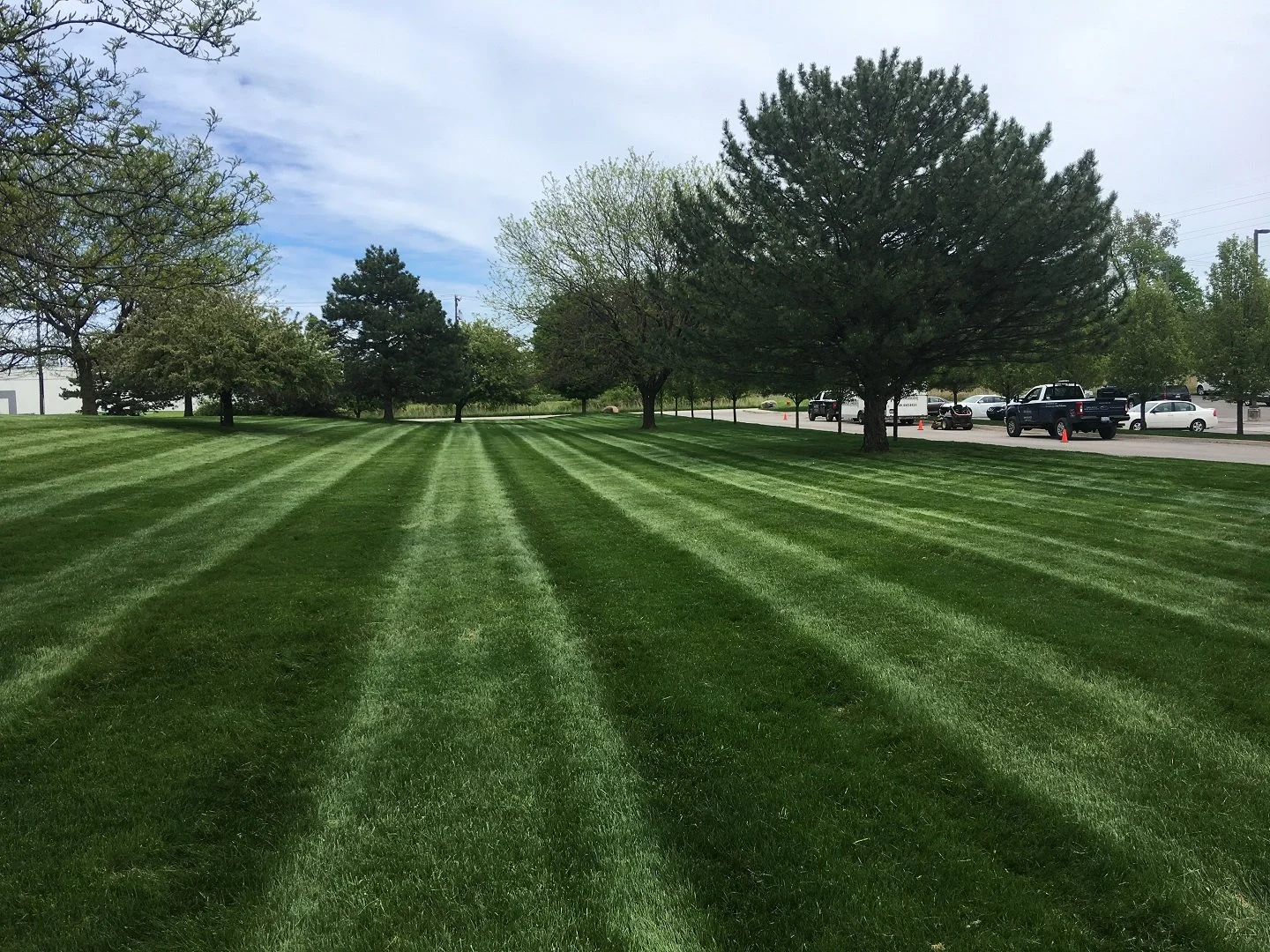 6 Ways Commercial Lawn Care Supports Class A Office Properties in SE Michigan