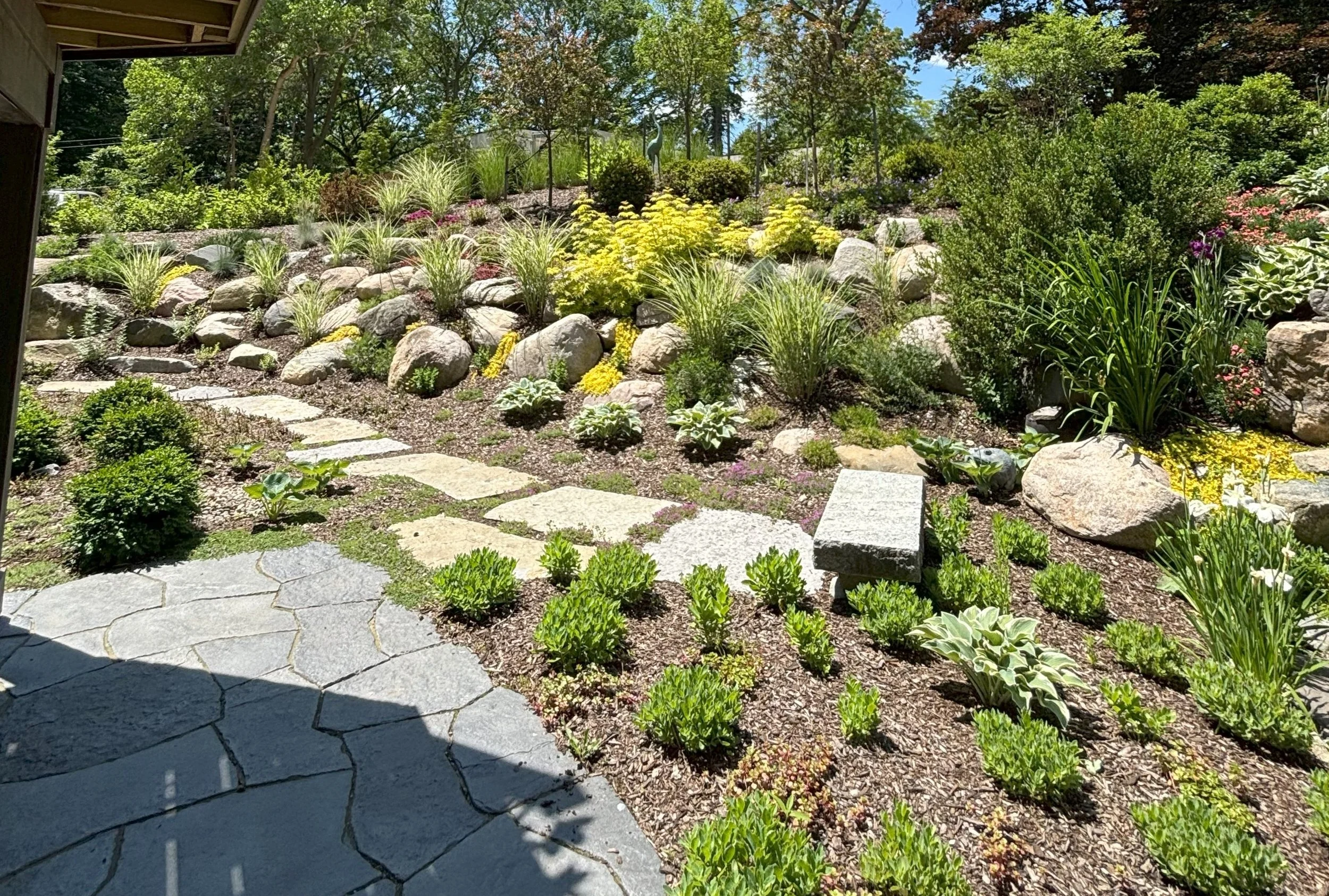 Curated Plantings for Residential Yard in Farmington Hills, MI