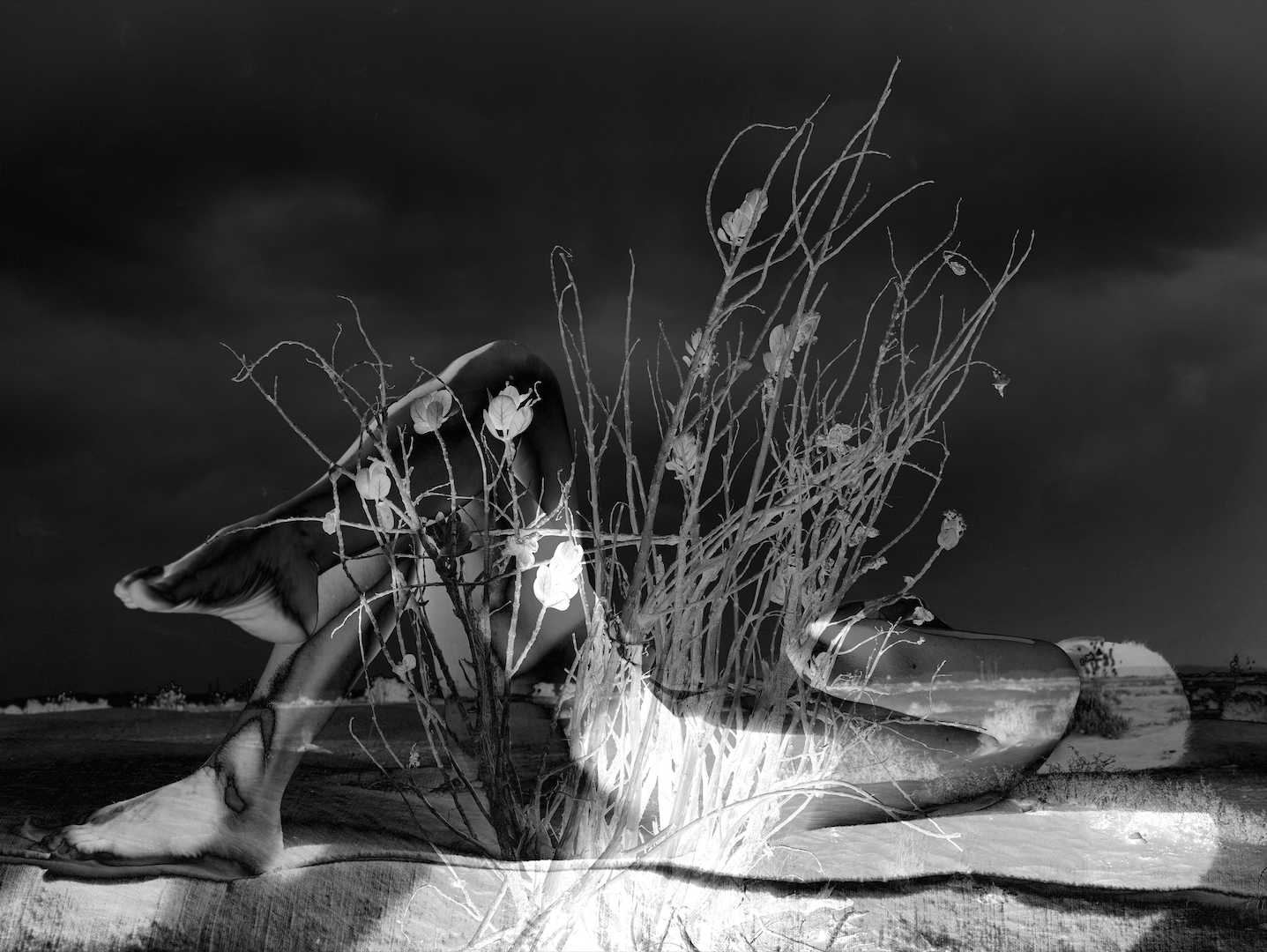 Screenshot 2023-09-01 at 10.17.33.png