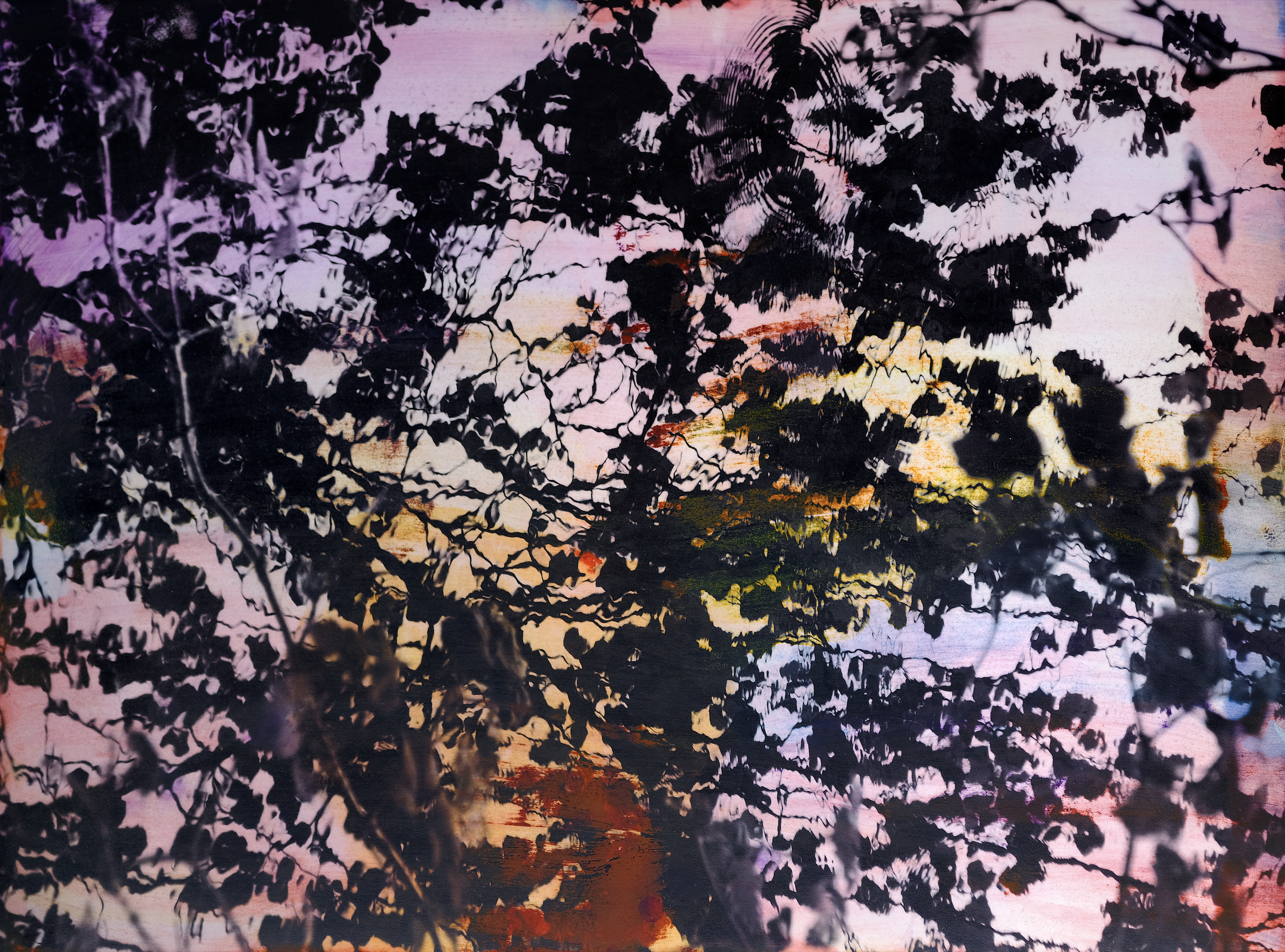 Screenshot 2023-12-13 at 11.43.33.png