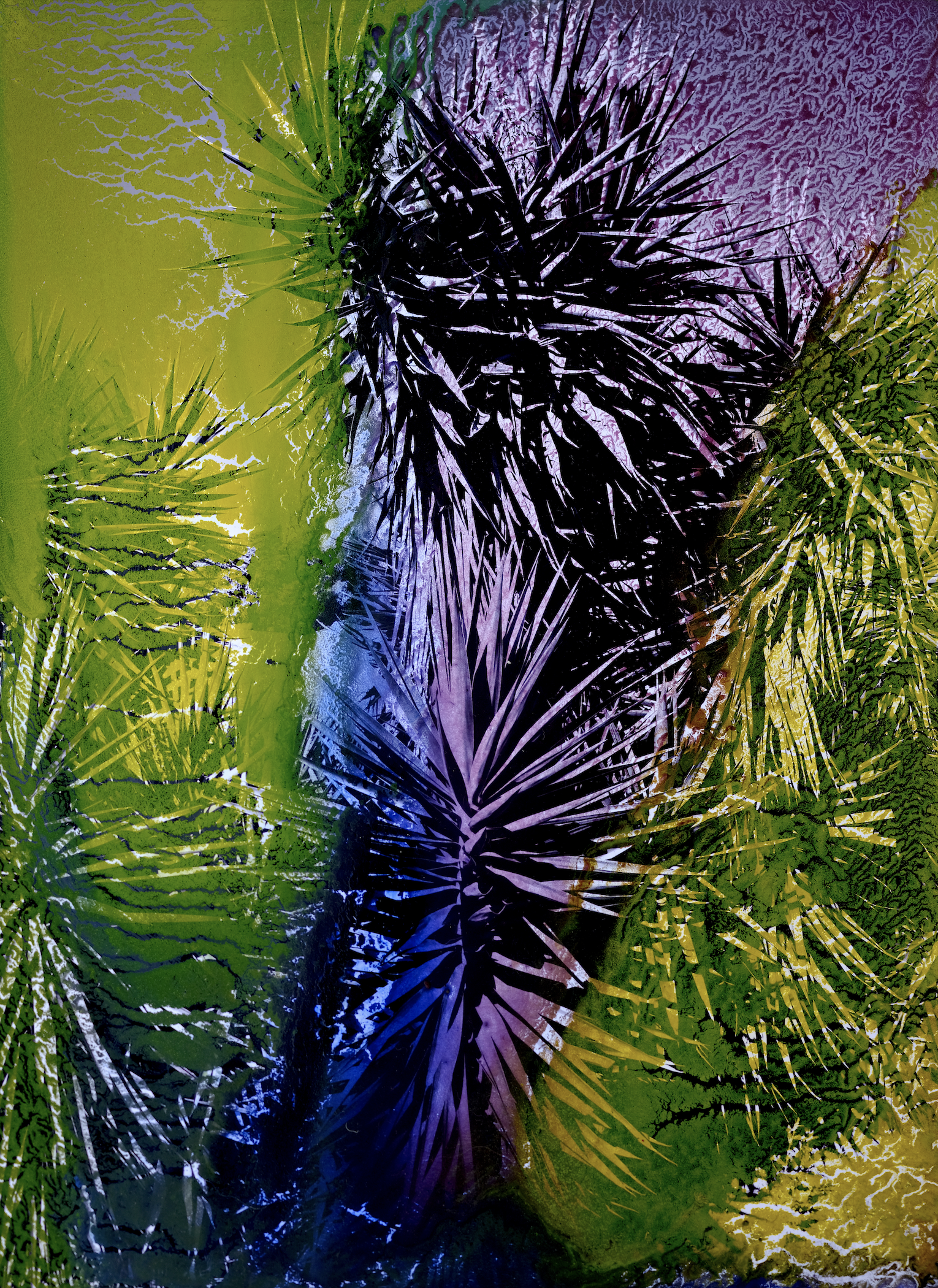 Screenshot 2023-12-13 at 11.43.52.png