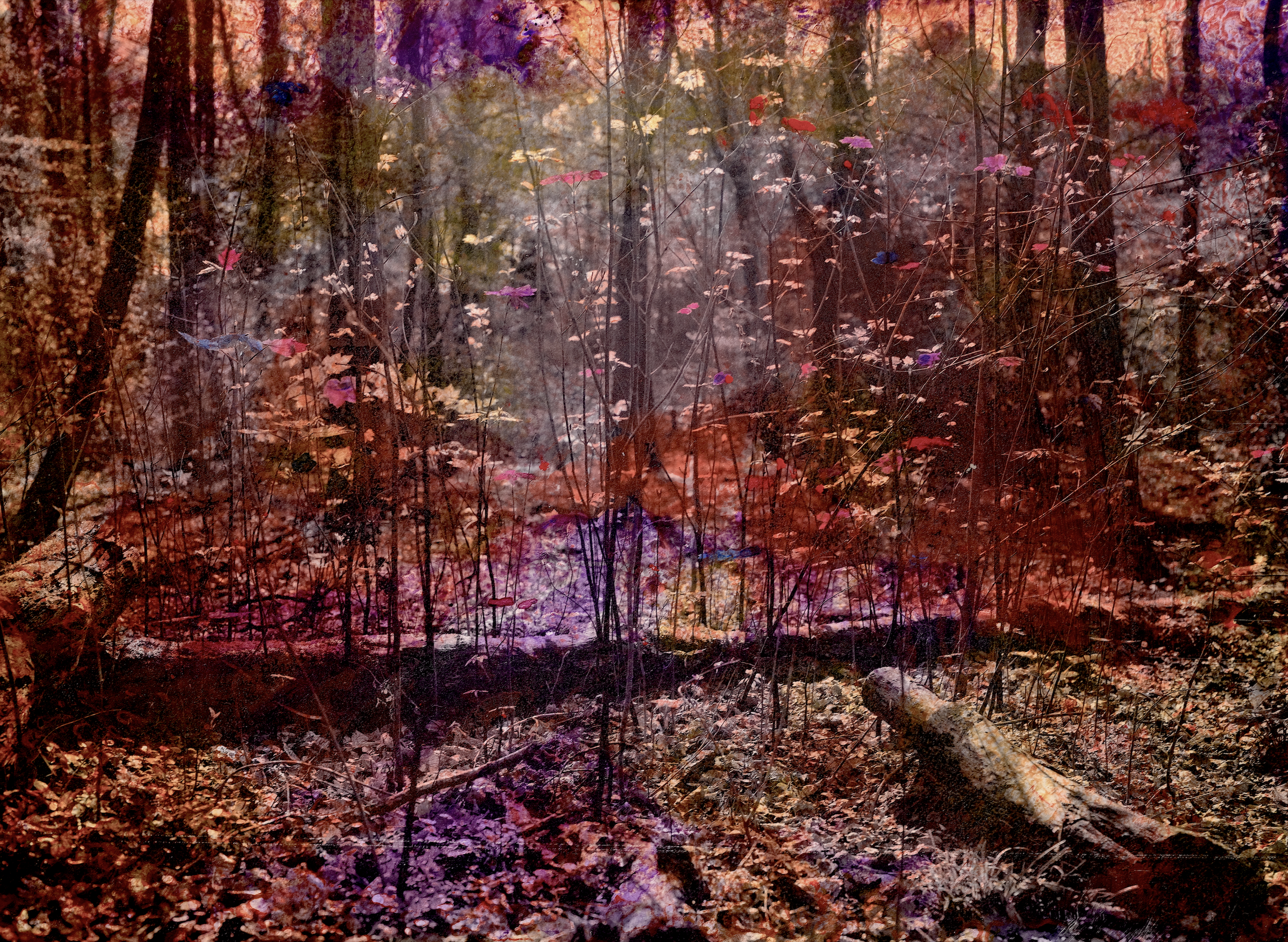 Screenshot 2023-12-13 at 11.44.07.png