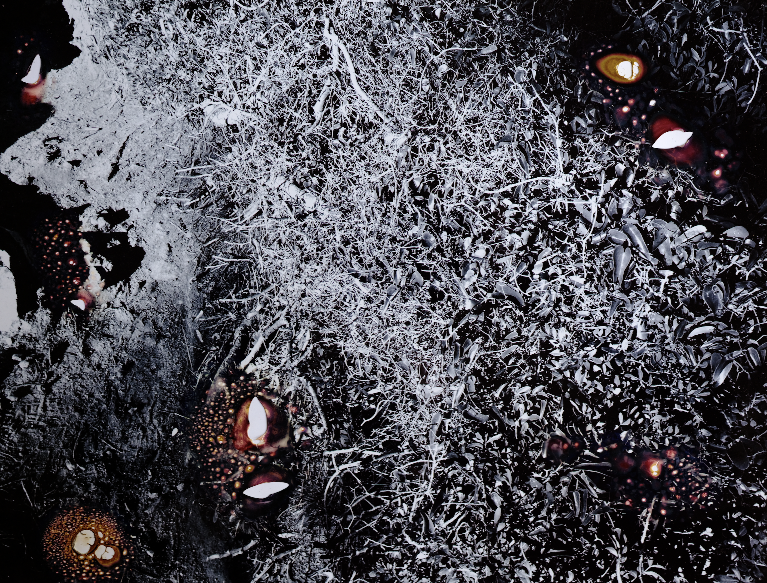 Screenshot 2024-02-07 at 16.34.42.png