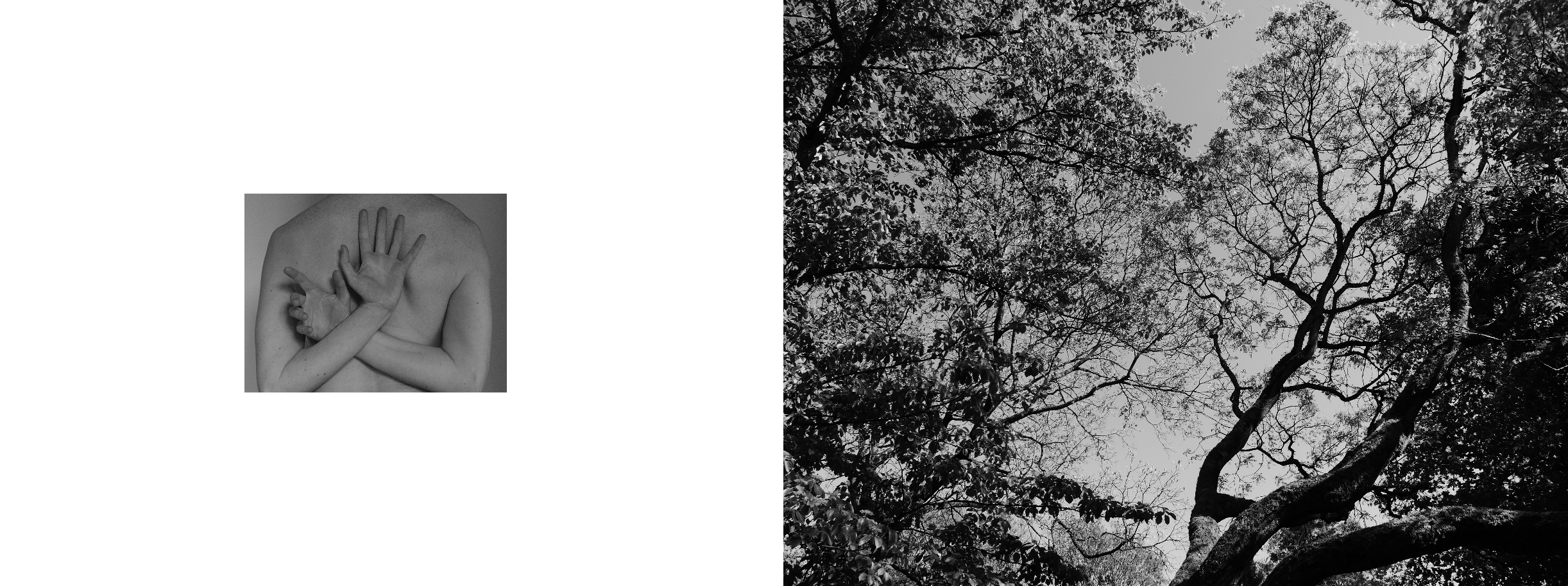 Screenshot 2024-02-23 at 16.26.02.png