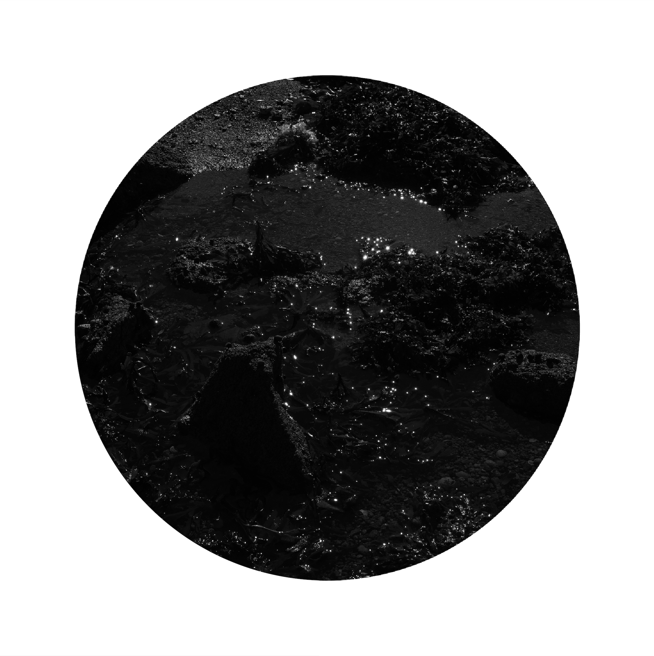 Screenshot 2024-02-26 at 19.57.29.png