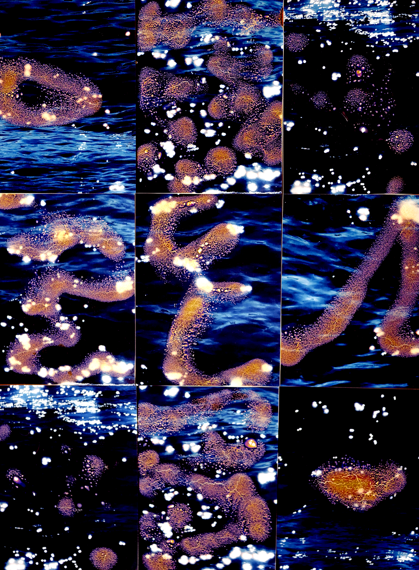 Screenshot 2024-02-07 at 16.30.17.png