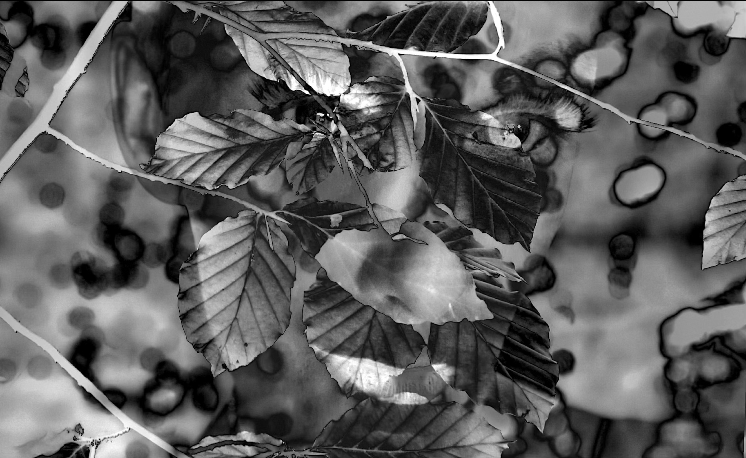 Screenshot 2024-03-01 at 11.23.33.PNG