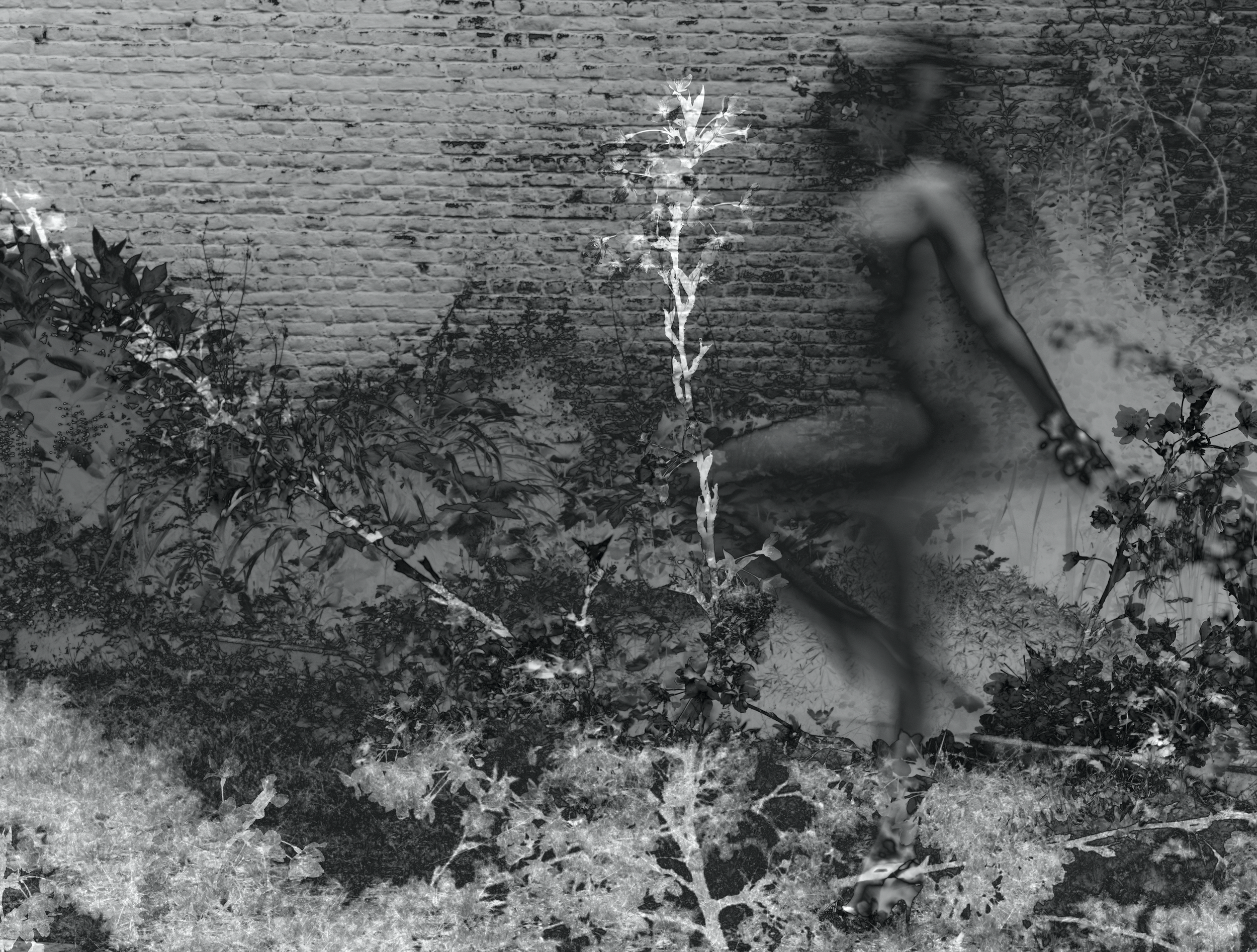 Screenshot 2024-03-01 at 11.20.16.PNG