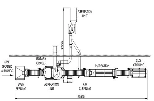 Almond Processing Line and its Methods — Kiron Food Processing ...